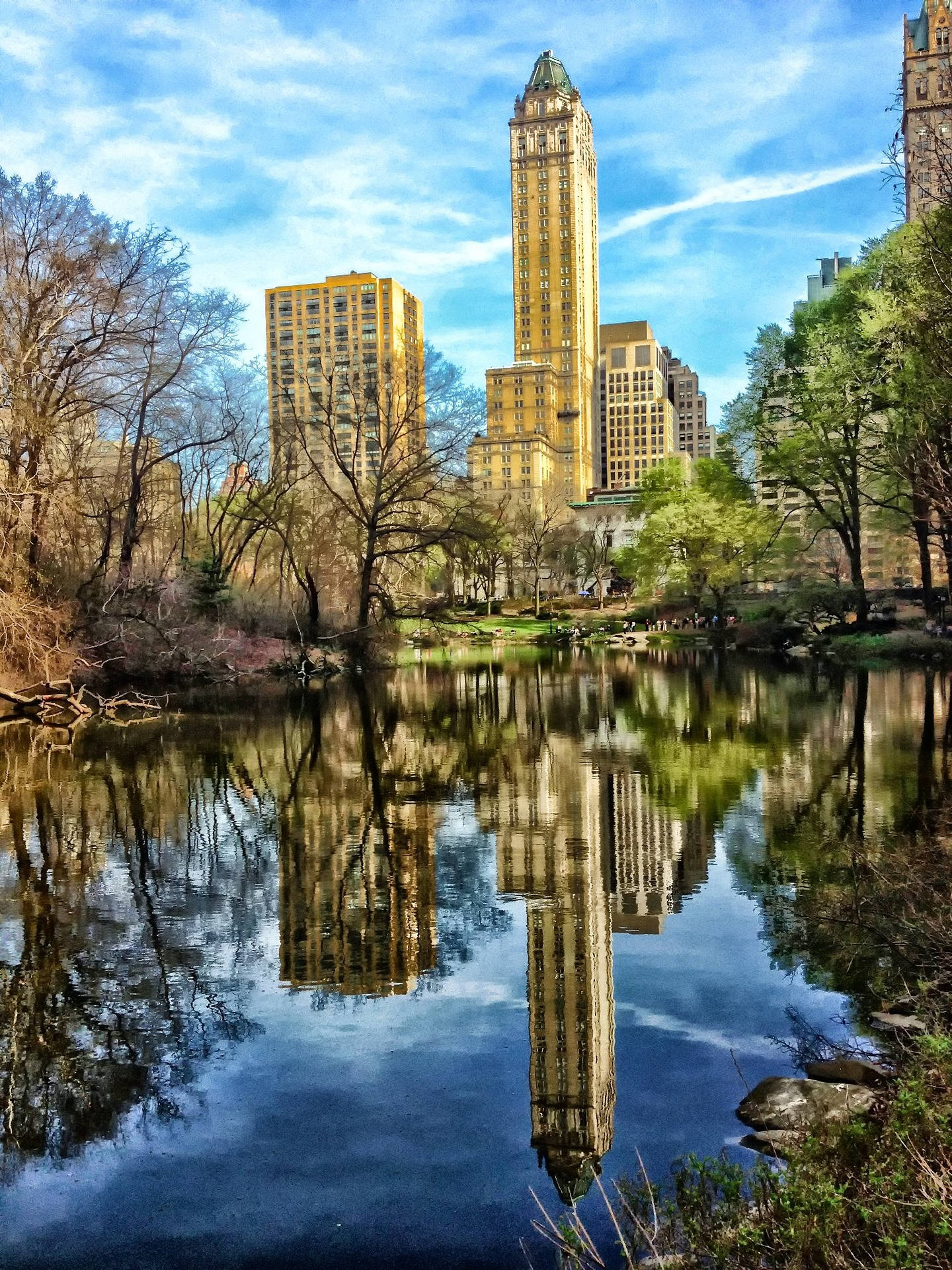 Central Park, calm pond, tall city skyscrapers, Full HD Phone Wallpaper