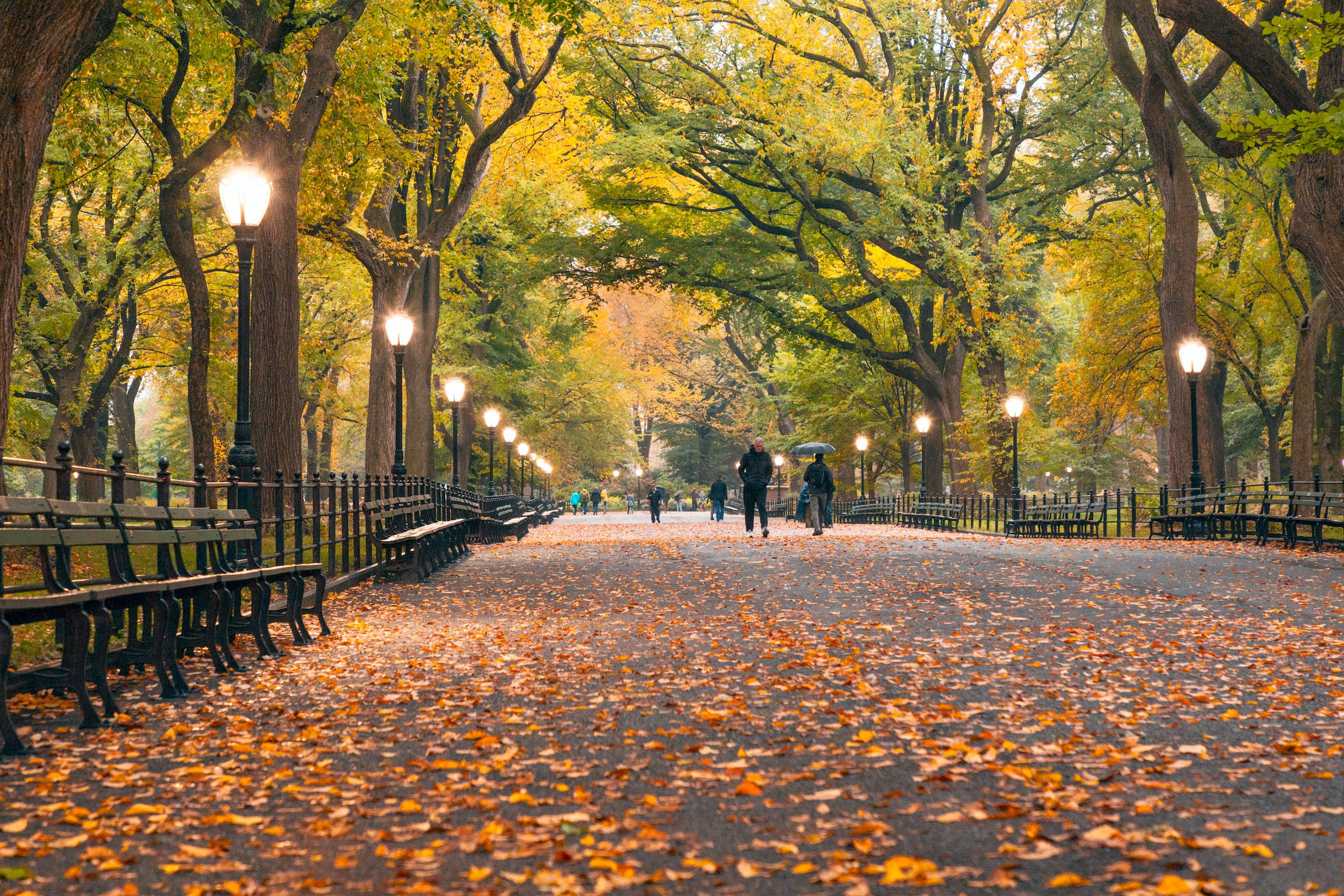 Central Park, lampposts, trees, Full HD Desktop Wallpaper