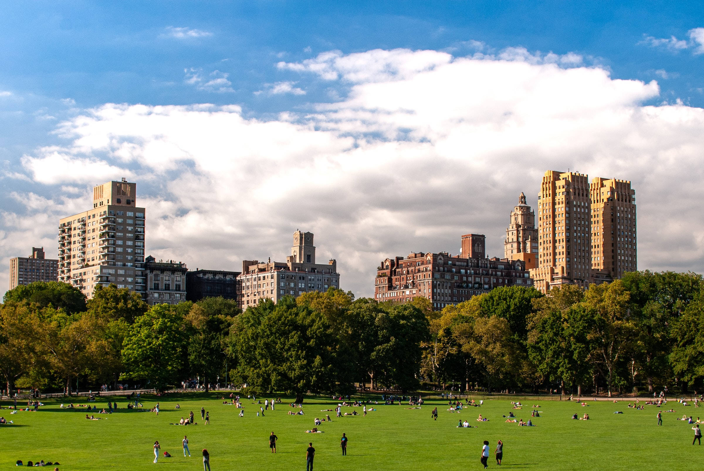 Central Park, green lawn, bright blue sky, Full HD Desktop Wallpaper
