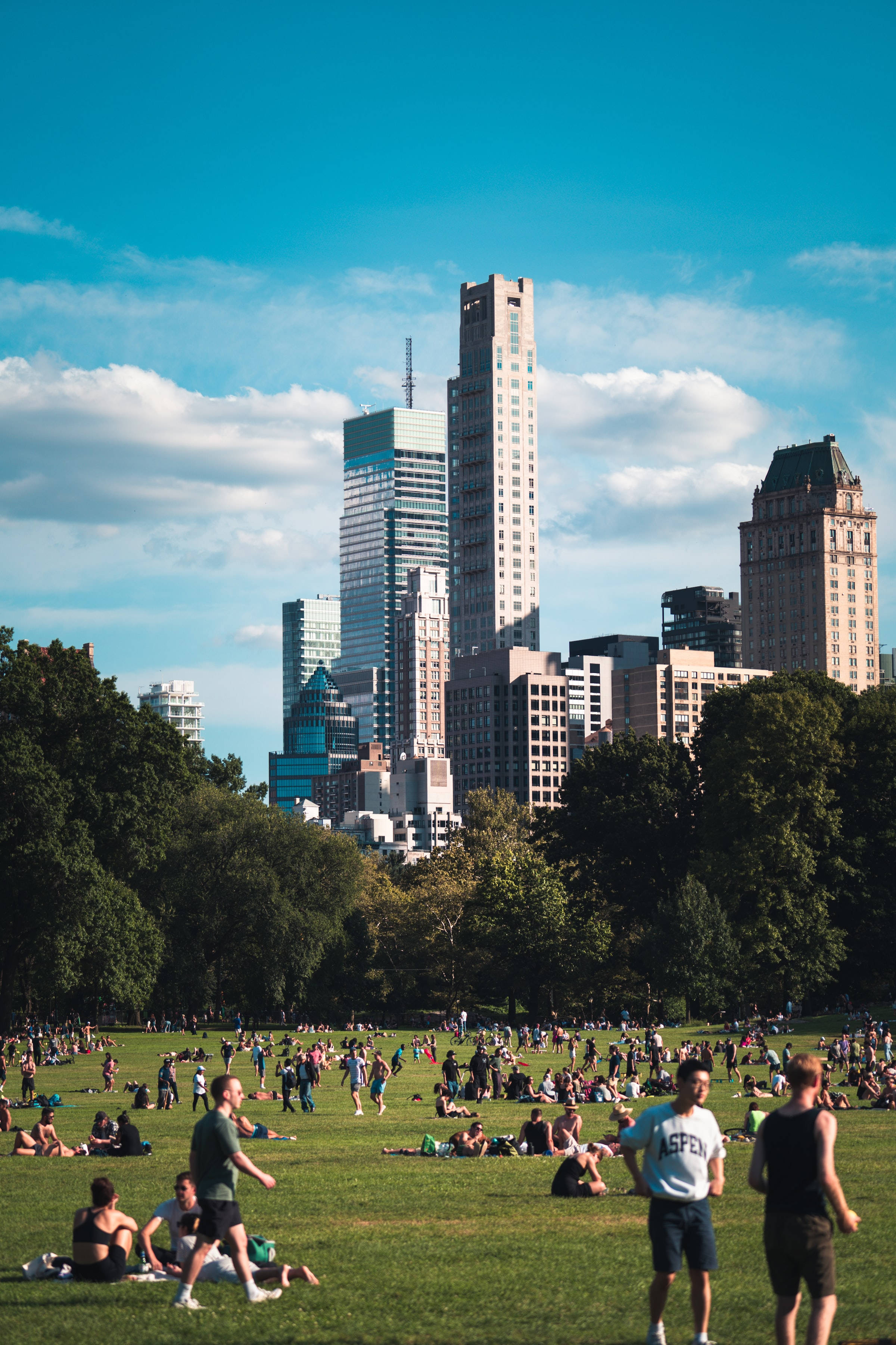 Central Park, vibrant green lawn, bright blue sky, 2K Phone Wallpaper