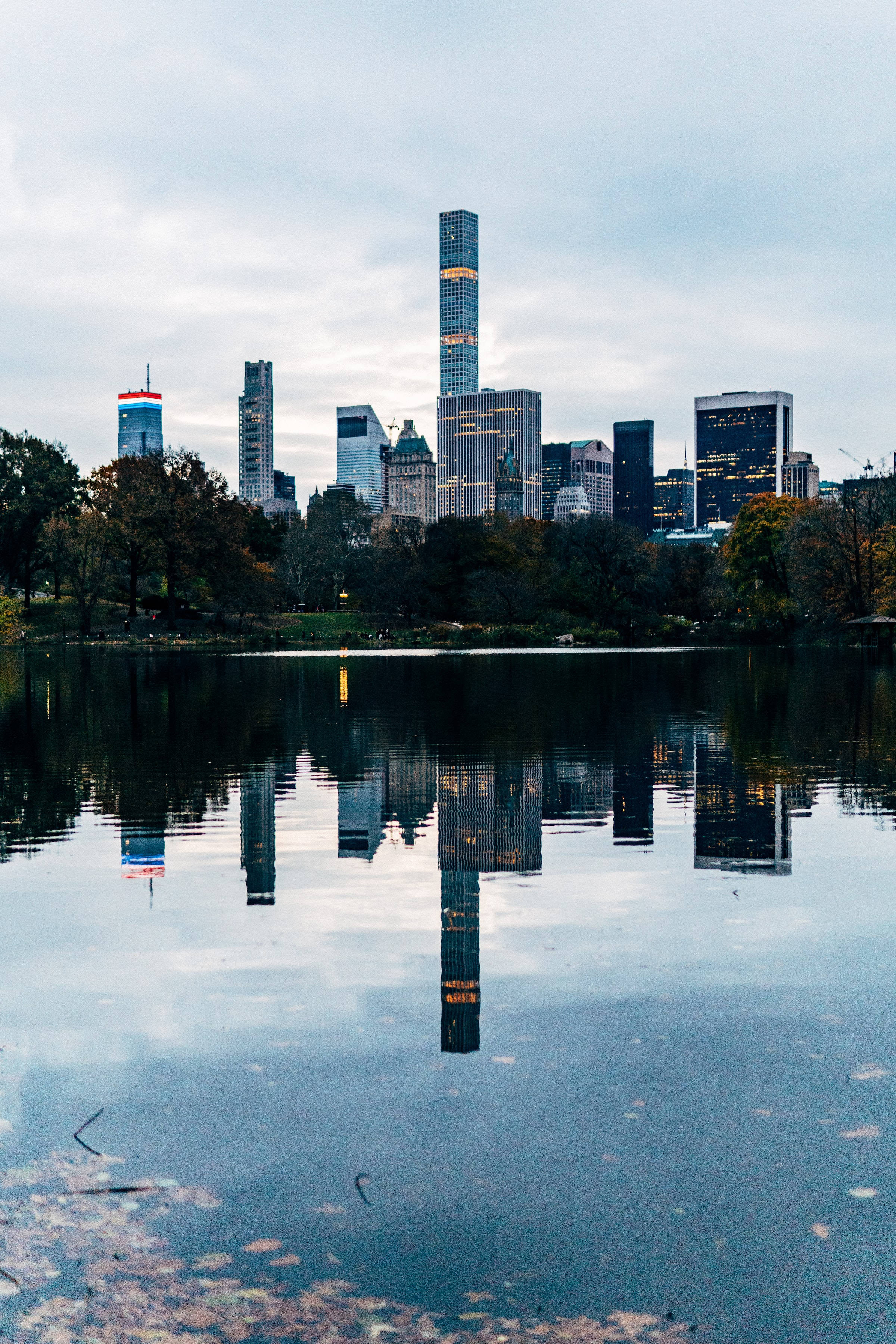 Central Park, city skyline, tall skyscrapers, 2K Phone Wallpaper