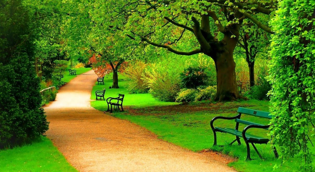 park walkway, gravel path, lush green park, SD Desktop Wallpaper