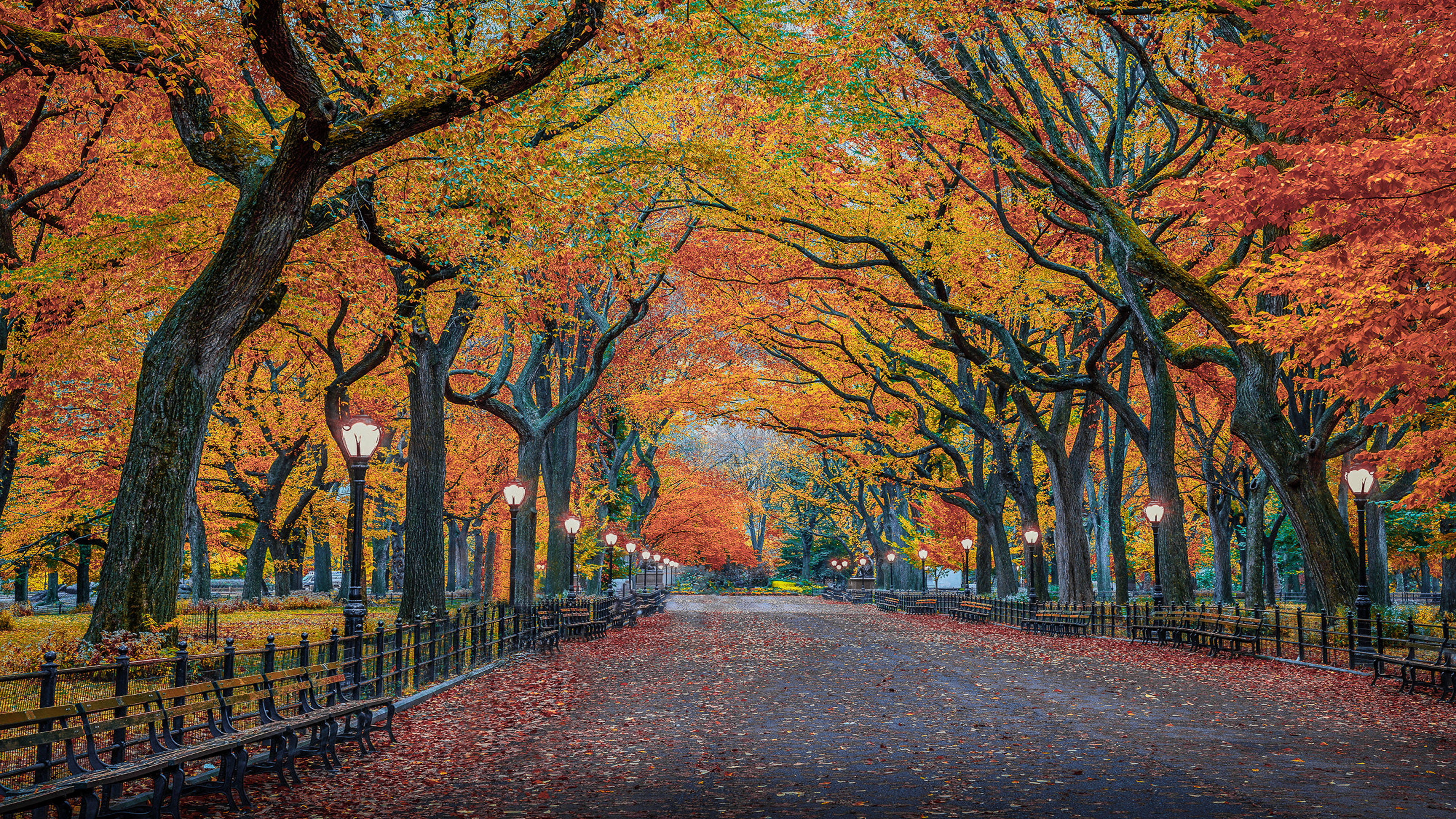 4K, laptop, autumn, 4K Desktop Wallpaper