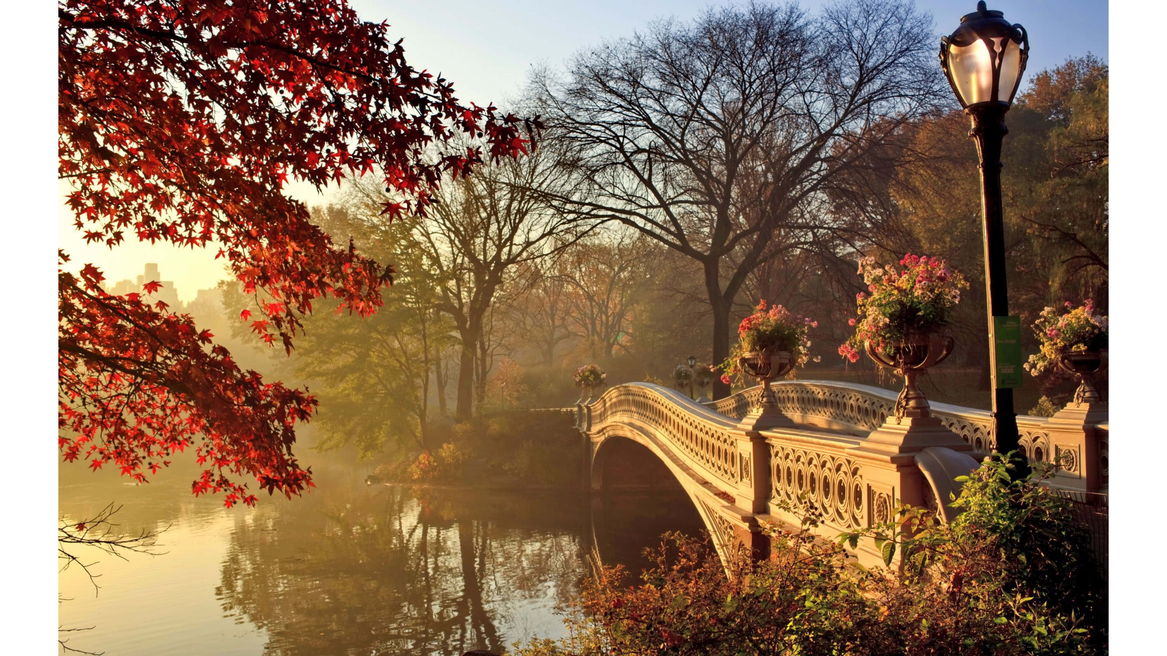 Central Park, stone bridge, fiery red leaves, 4K Desktop Wallpaper