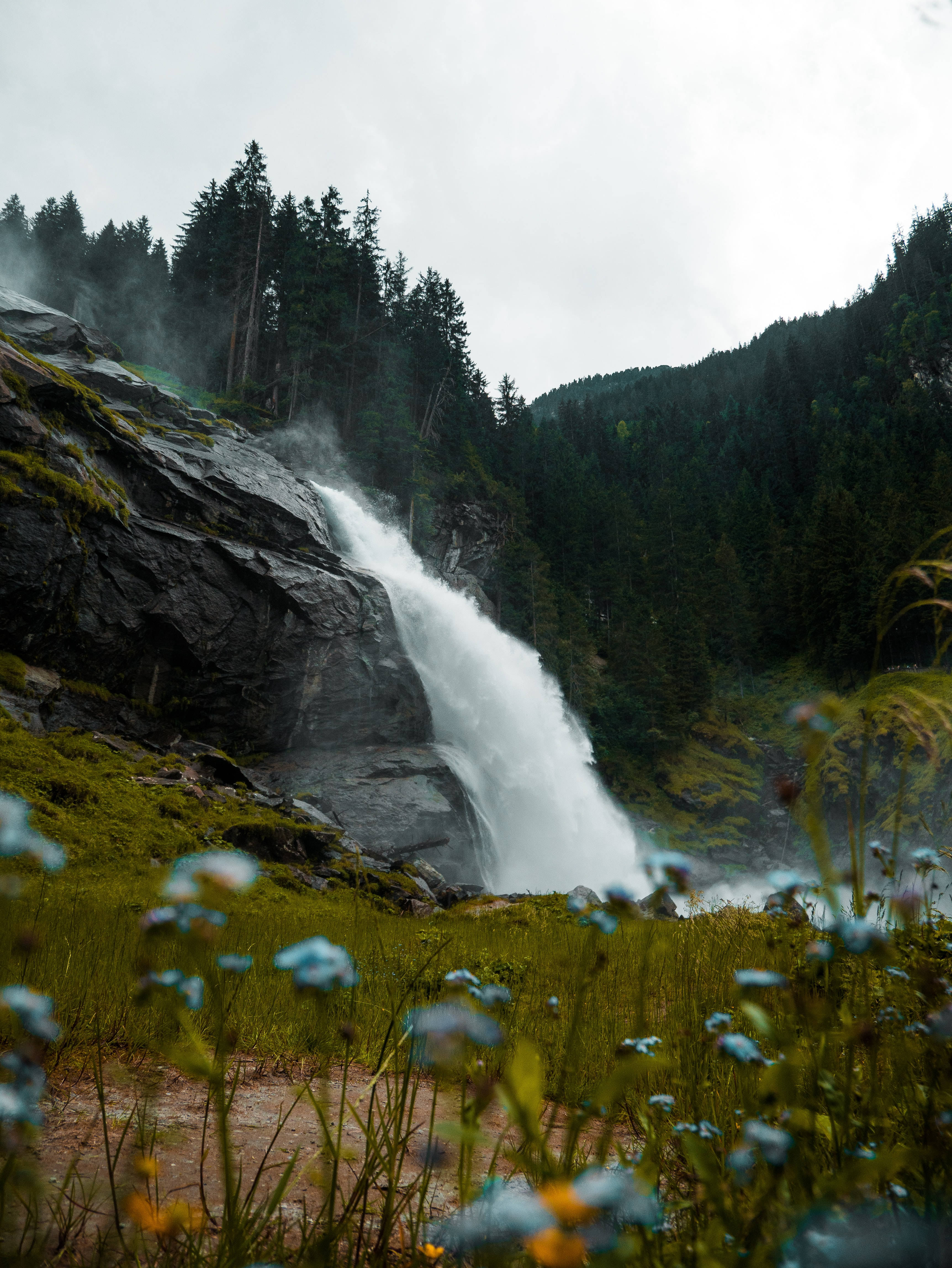 waterfall, mossy cliff, dense evergreen forest, 4K Phone Wallpaper