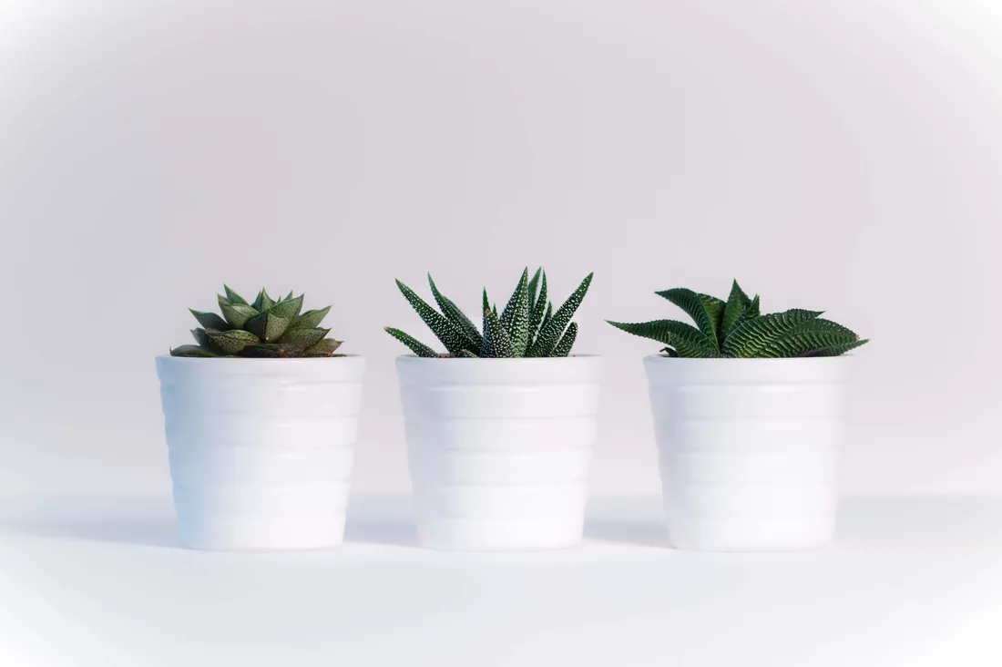 Ceramics