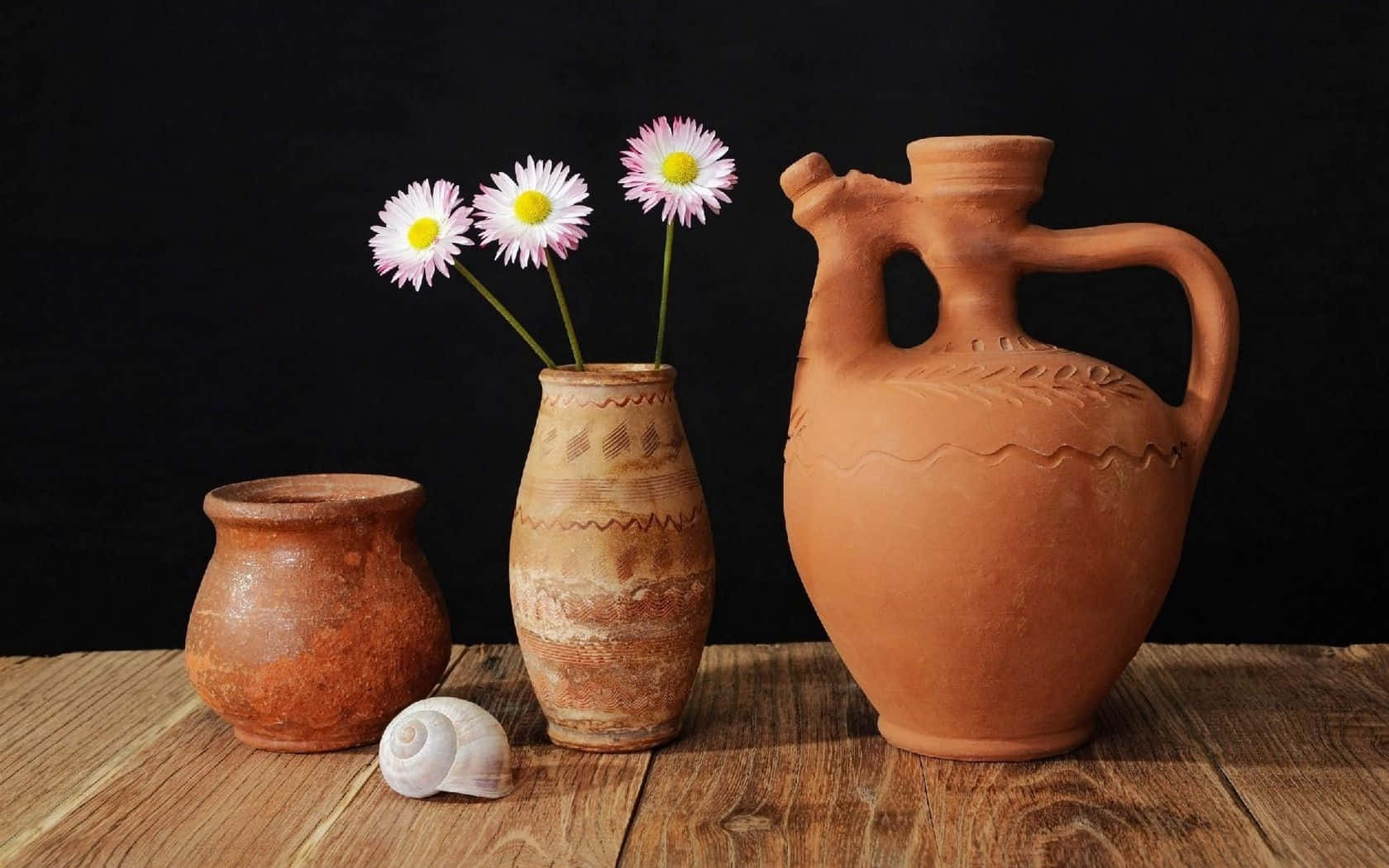 terracotta vessels, seashell, rustic wood, HD Desktop Wallpaper