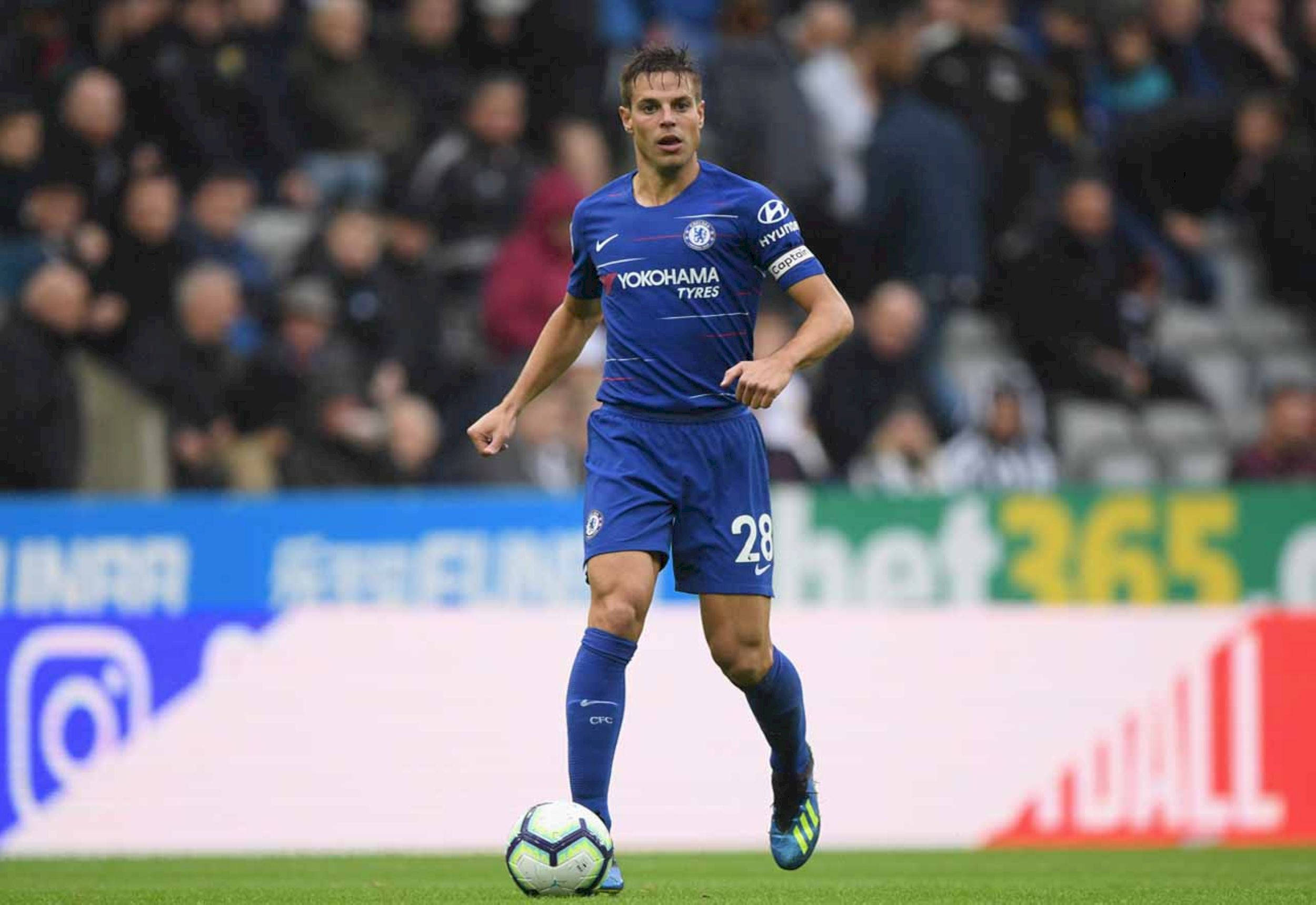 César Azpilicueta, blue Chelsea kit, green pitch, Full HD Desktop Wallpaper