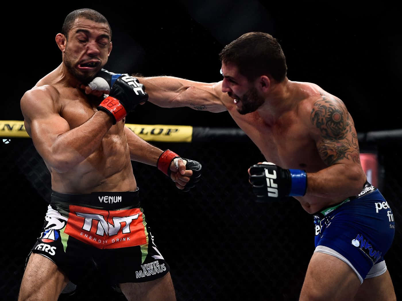 Chad Mendes, MMA fighters, cage match, HD Desktop Wallpaper