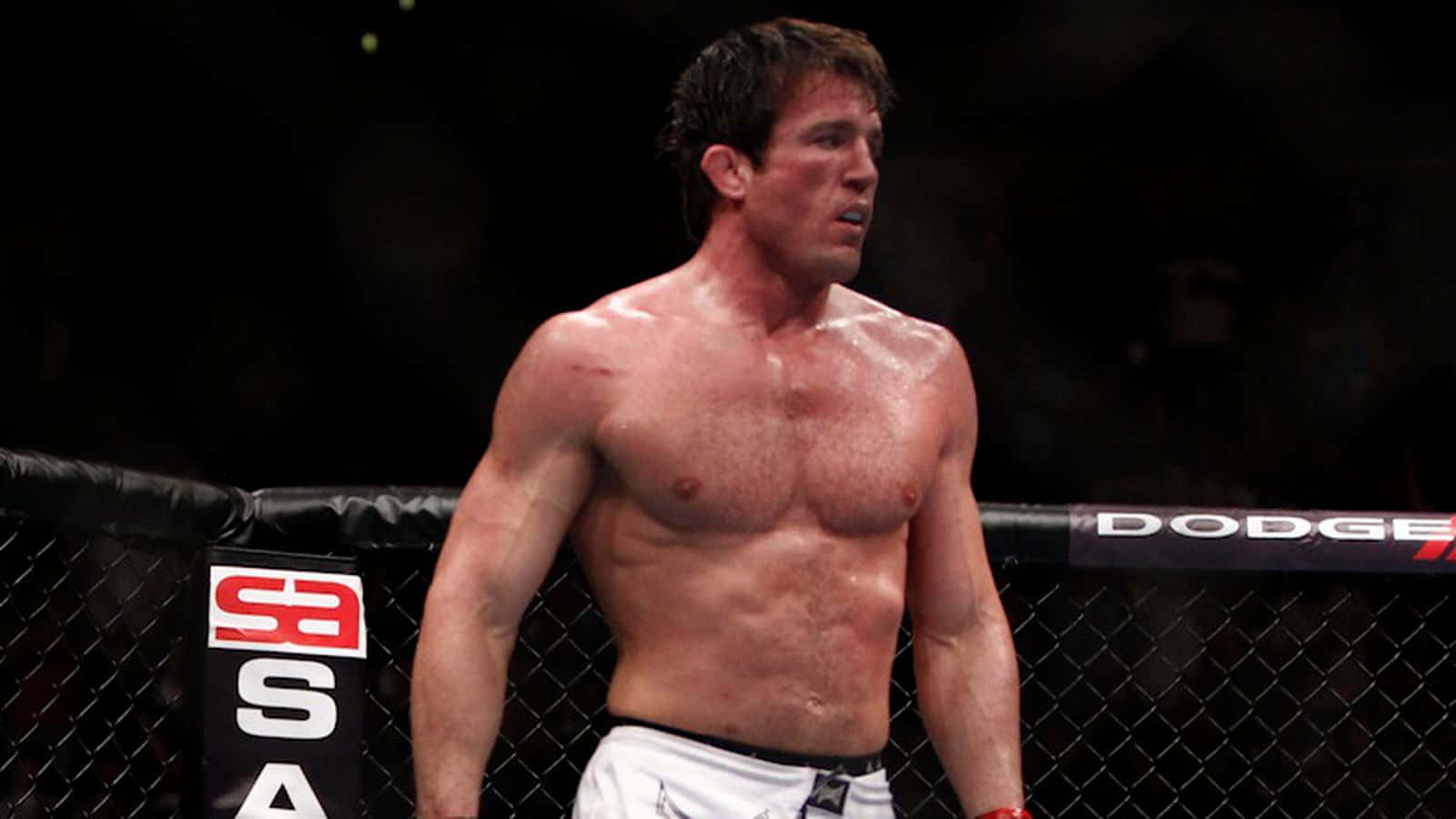Chael Sonnen, octagon cage, mixed martial arts match, HD Desktop Wallpaper