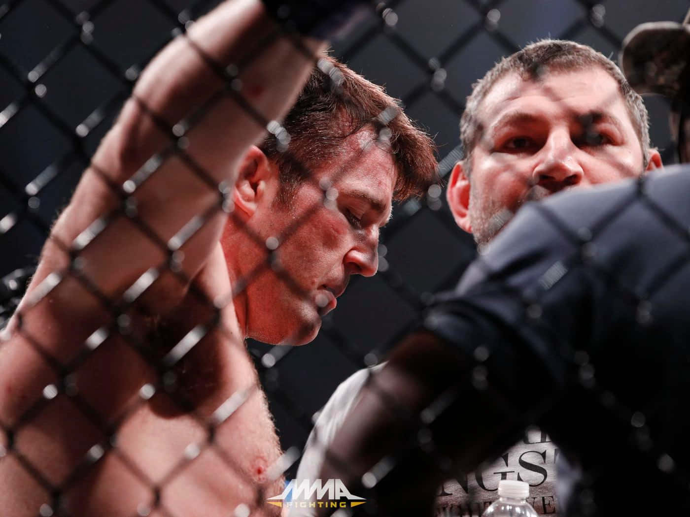 Chael Sonnen, MMA fighters, chain-link fence, HD Desktop Wallpaper