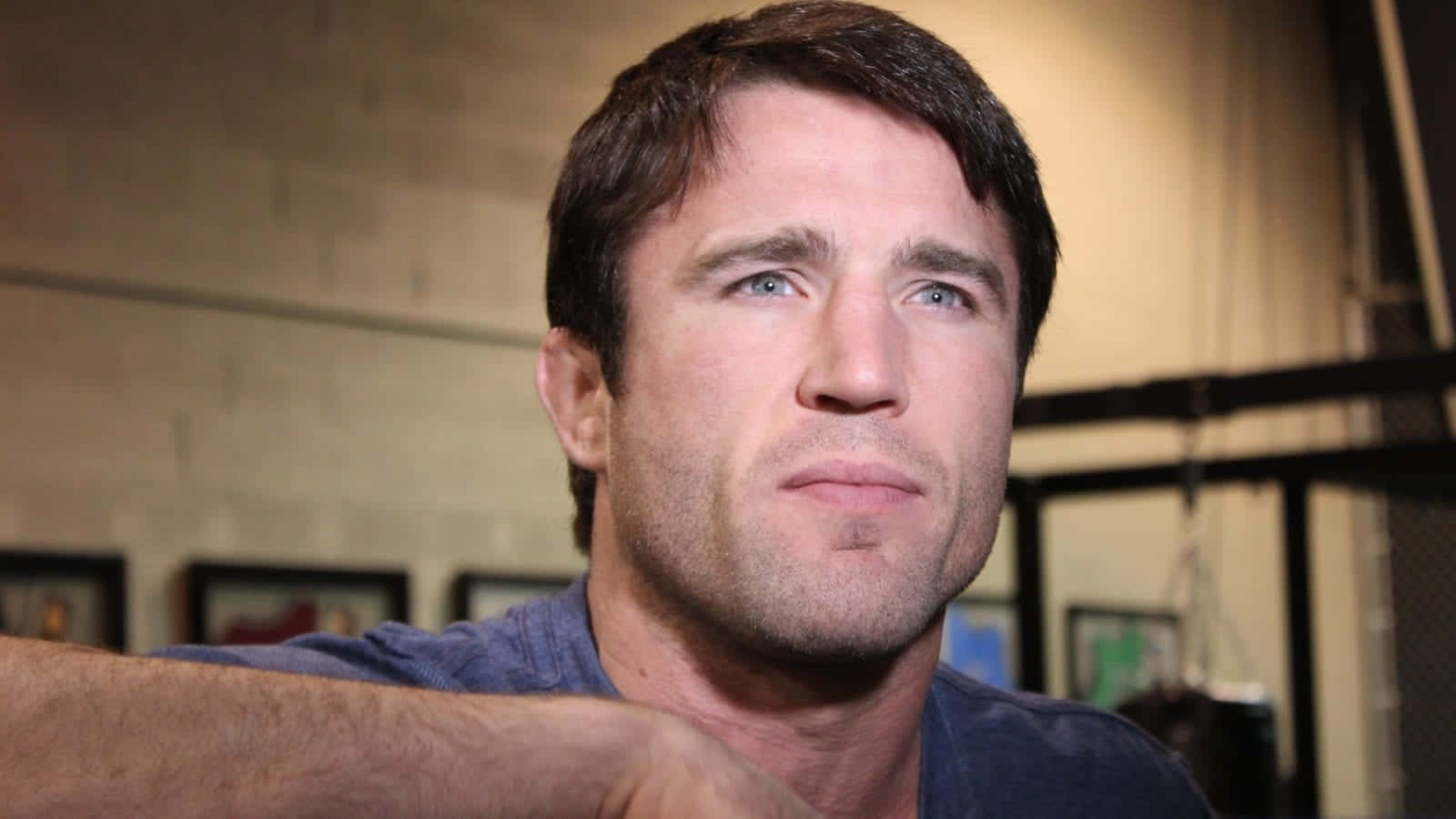 Chael Sonnen, intense blue eyes, stubble, HD Desktop Wallpaper