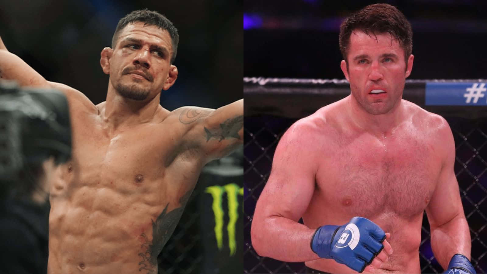 Chael Sonnen, octagon, MMA fighters, HD Desktop Wallpaper