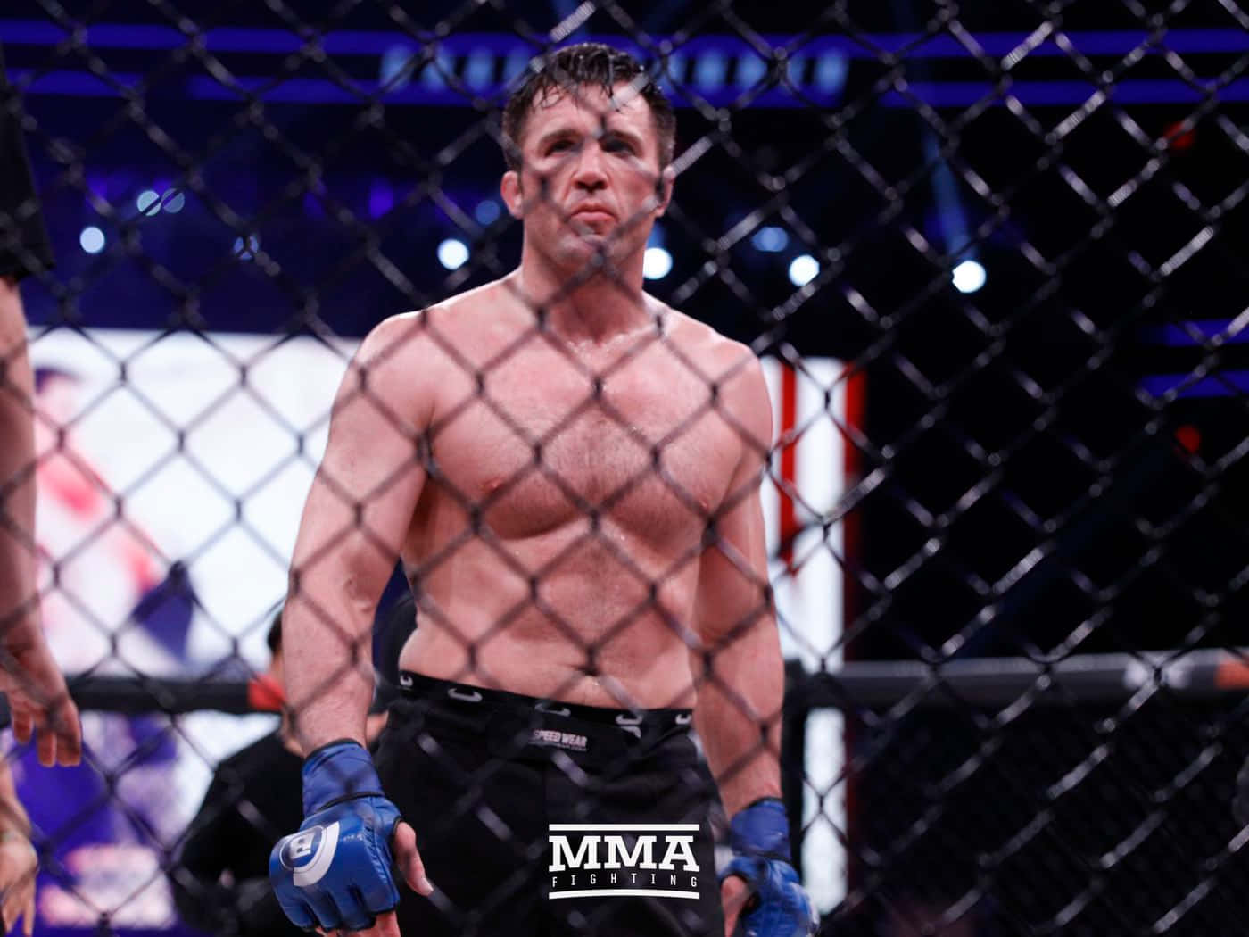 Chael Sonnen, battle ring, chain-link fence, HD Desktop Wallpaper