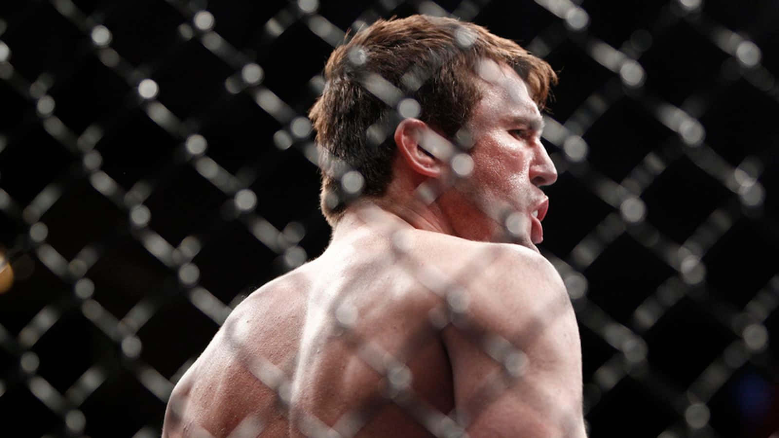 Chael Sonnen, chain-link fence, dimly lit octagon, HD Desktop Wallpaper