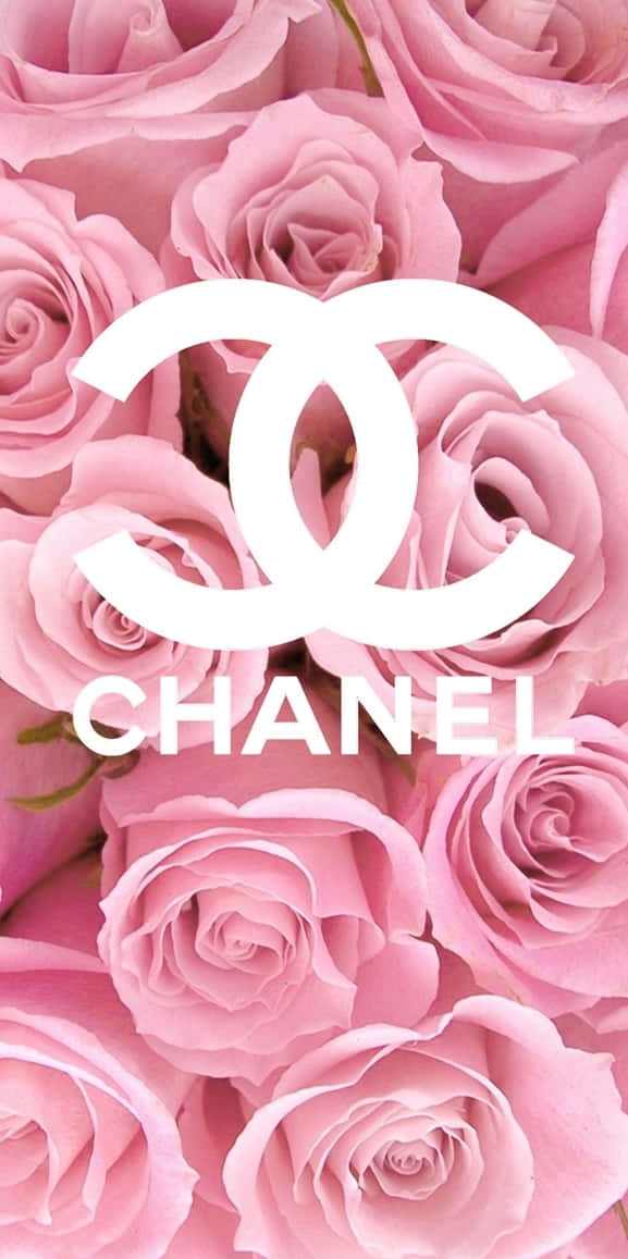 Chanel Girly, soft pink roses, white Chanel logo, SD Phone Wallpaper