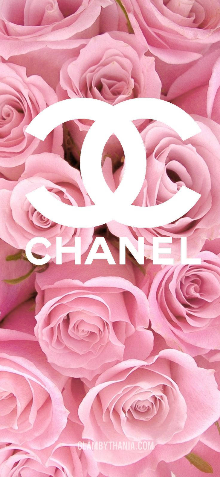 Chanel, roses, pink, HD Phone Wallpaper