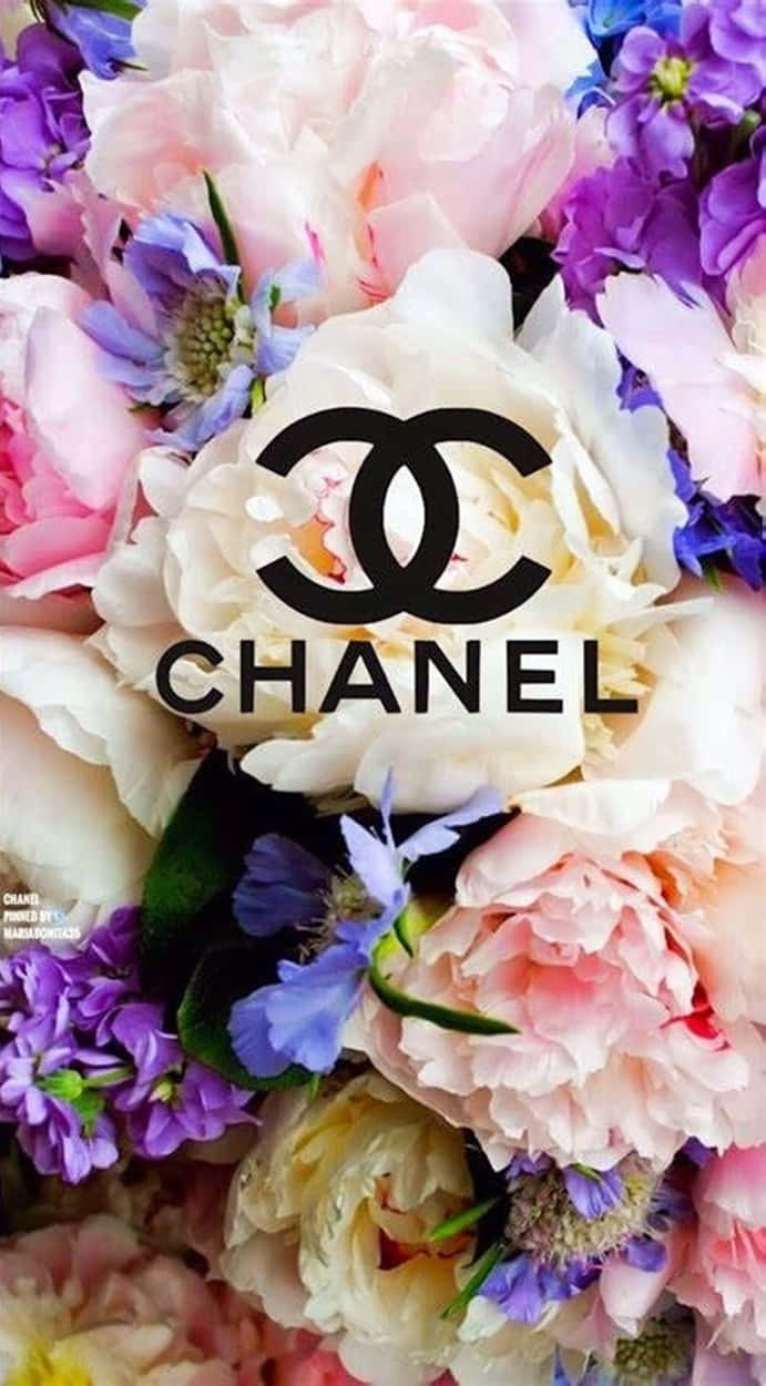 Chanel, pink, purple, SD Phone Wallpaper