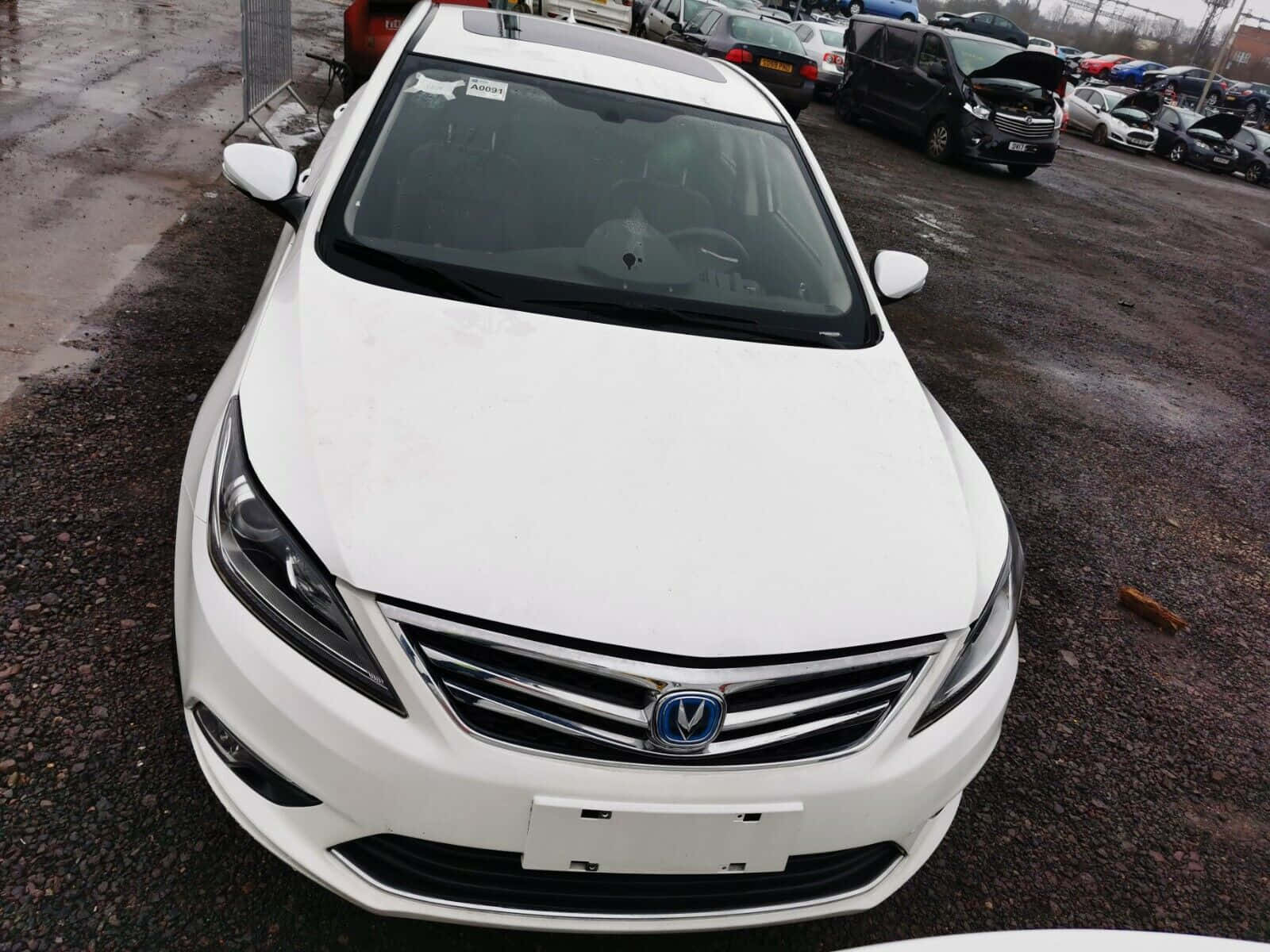 Changan Eado, white sedan, chrome grille, HD Desktop Wallpaper