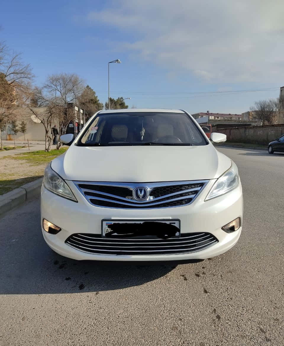 Changan Eado, white sedan, sunlit street, SD Phone Wallpaper