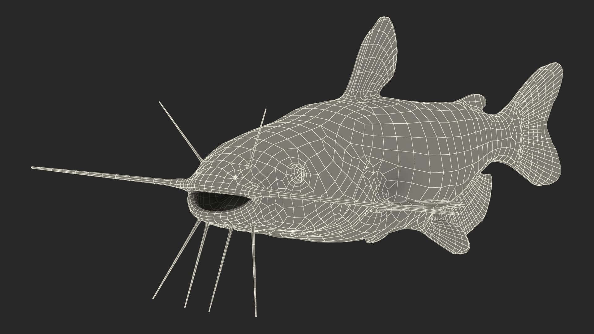 Channel Catfish, wireframe model, whiskers, Full HD Desktop Wallpaper