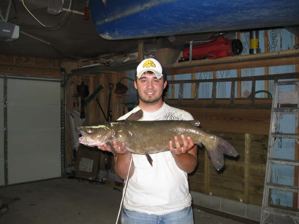 Channel Catfish, garage, blue boat, SD Desktop Wallpaper