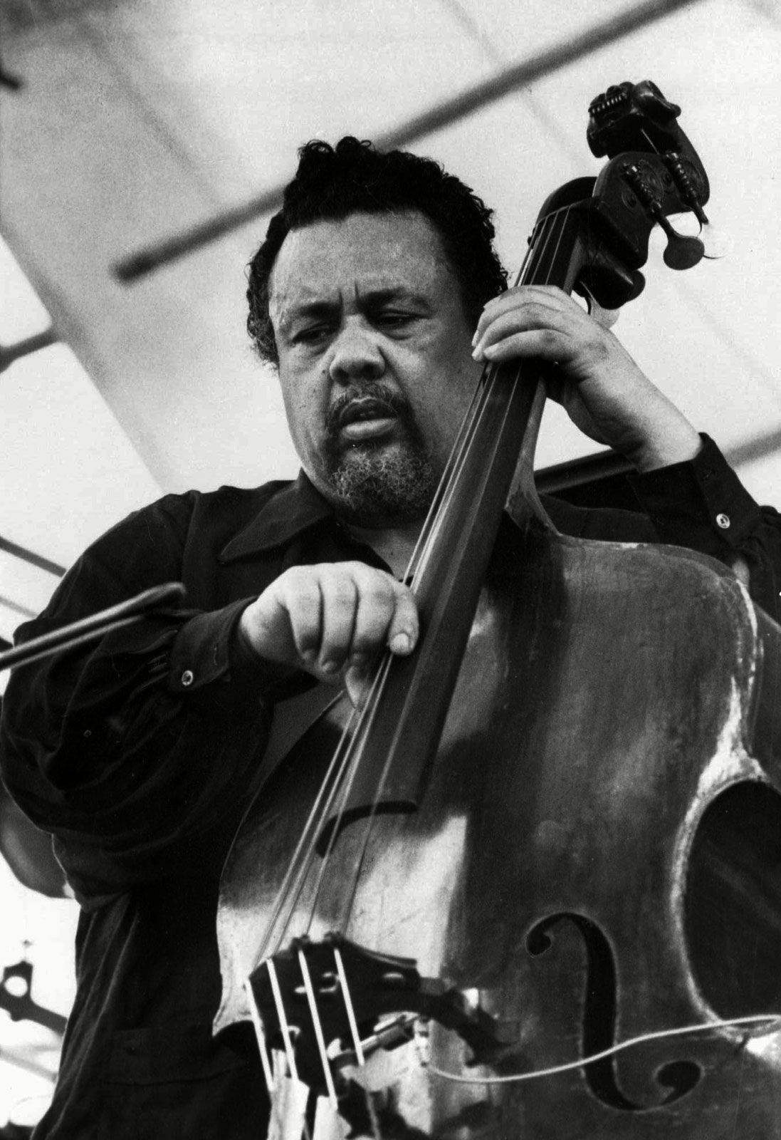 Charles Mingus, upright bass, tented stage, HD Phone Wallpaper