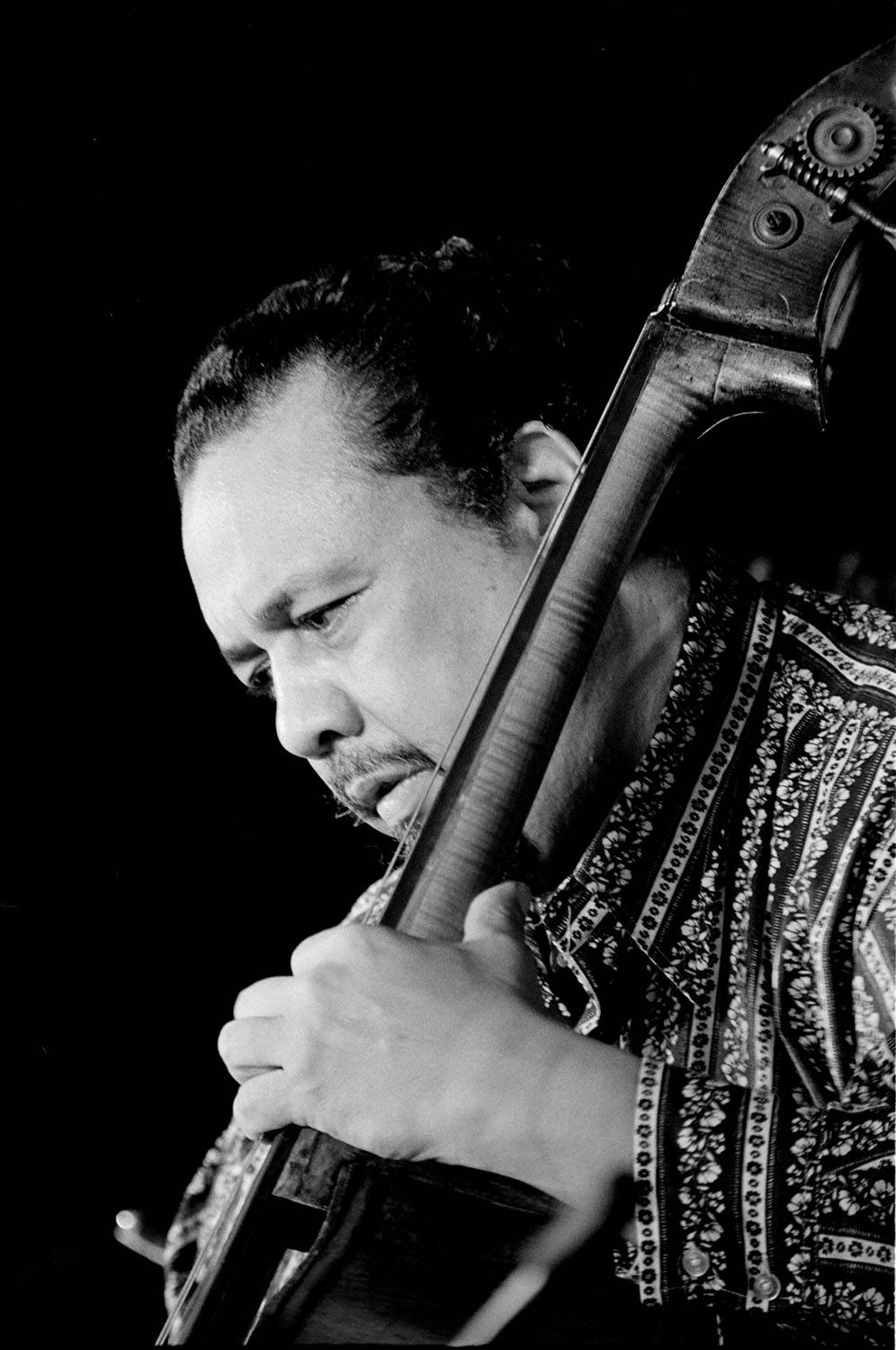 Charles Mingus, black background, stringed instrument, HD Phone Wallpaper