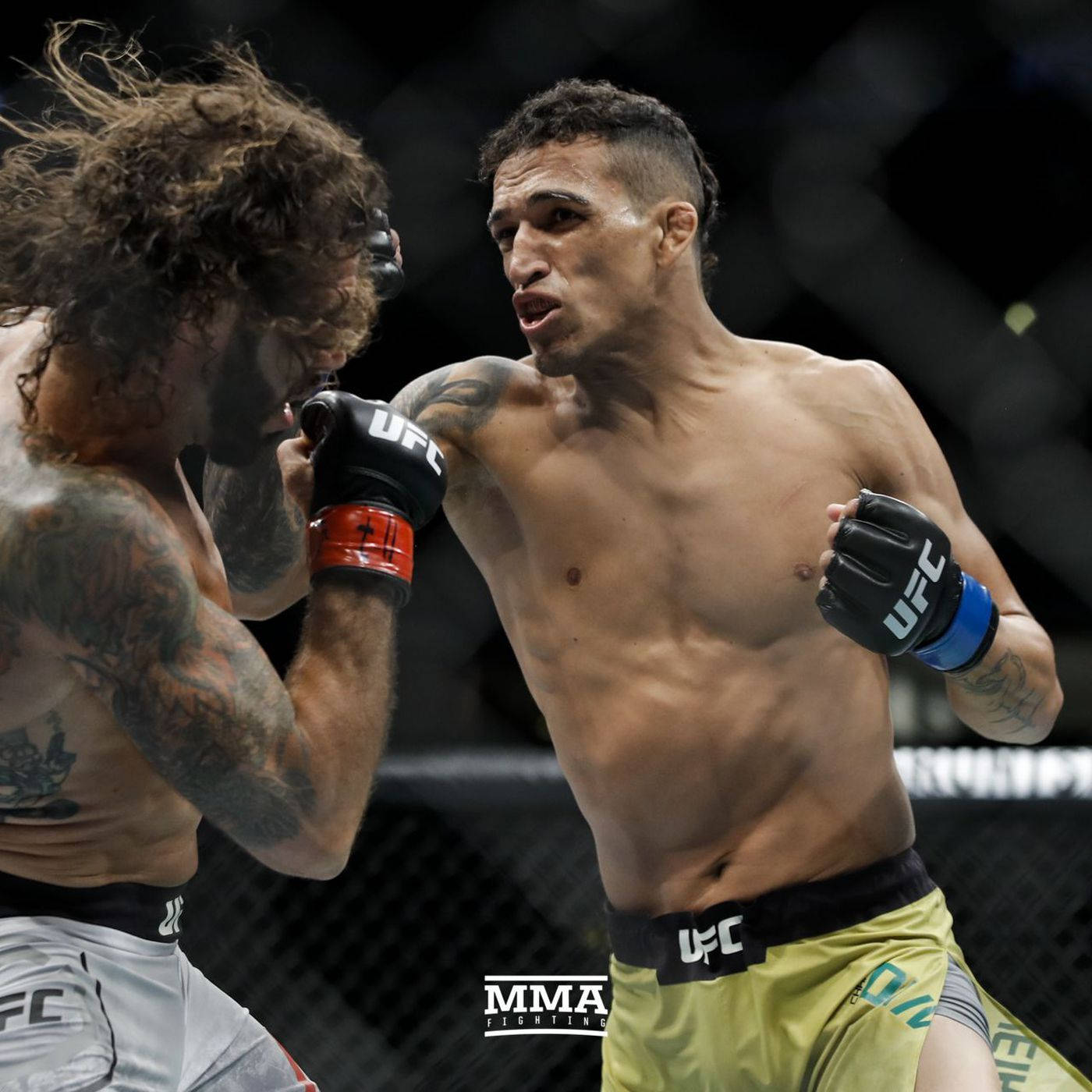 Charles Oliveira, MMA fighters, cage match, HD Desktop Wallpaper