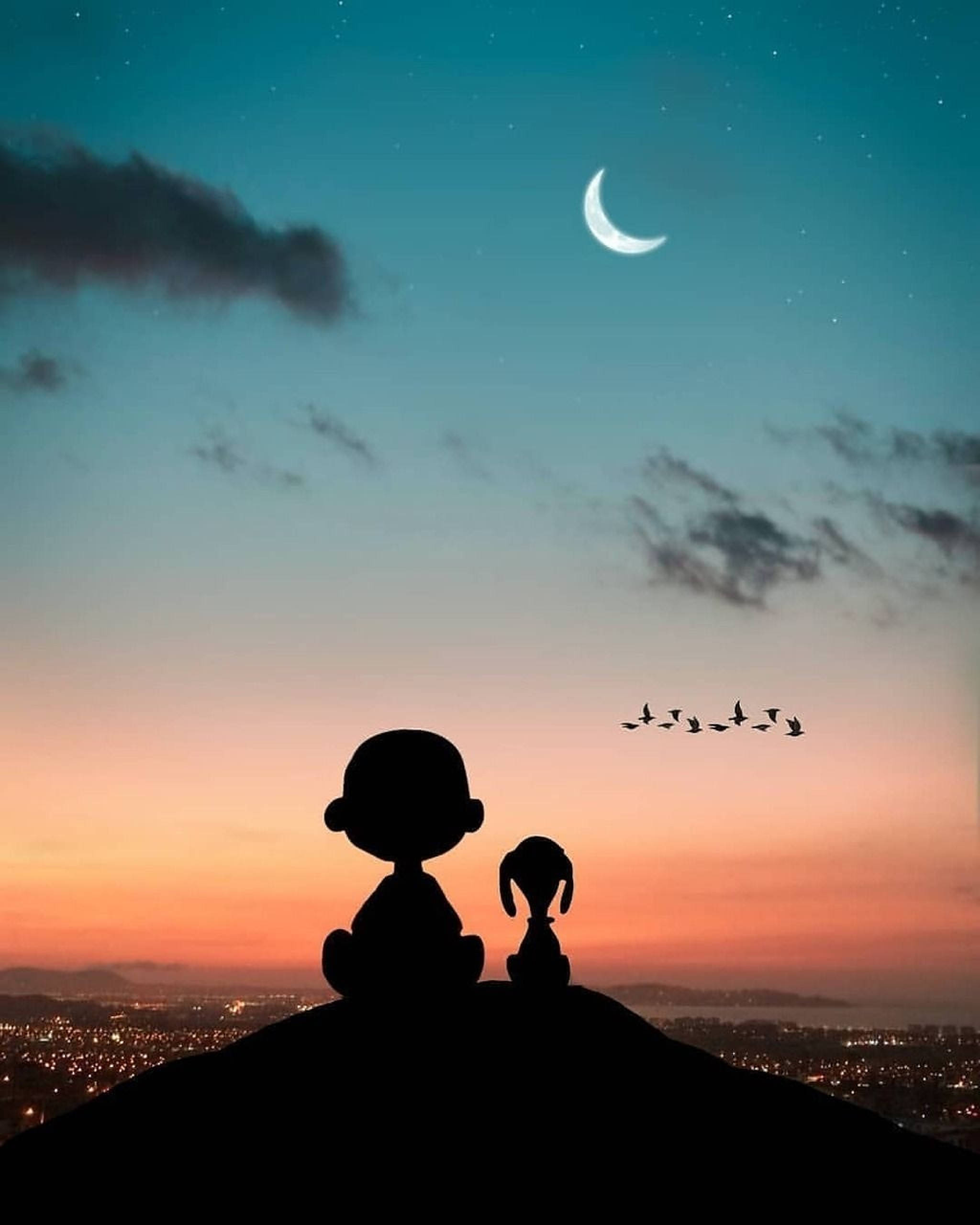 Charlie Brown, silhouette, sunset, 2K Phone Wallpaper