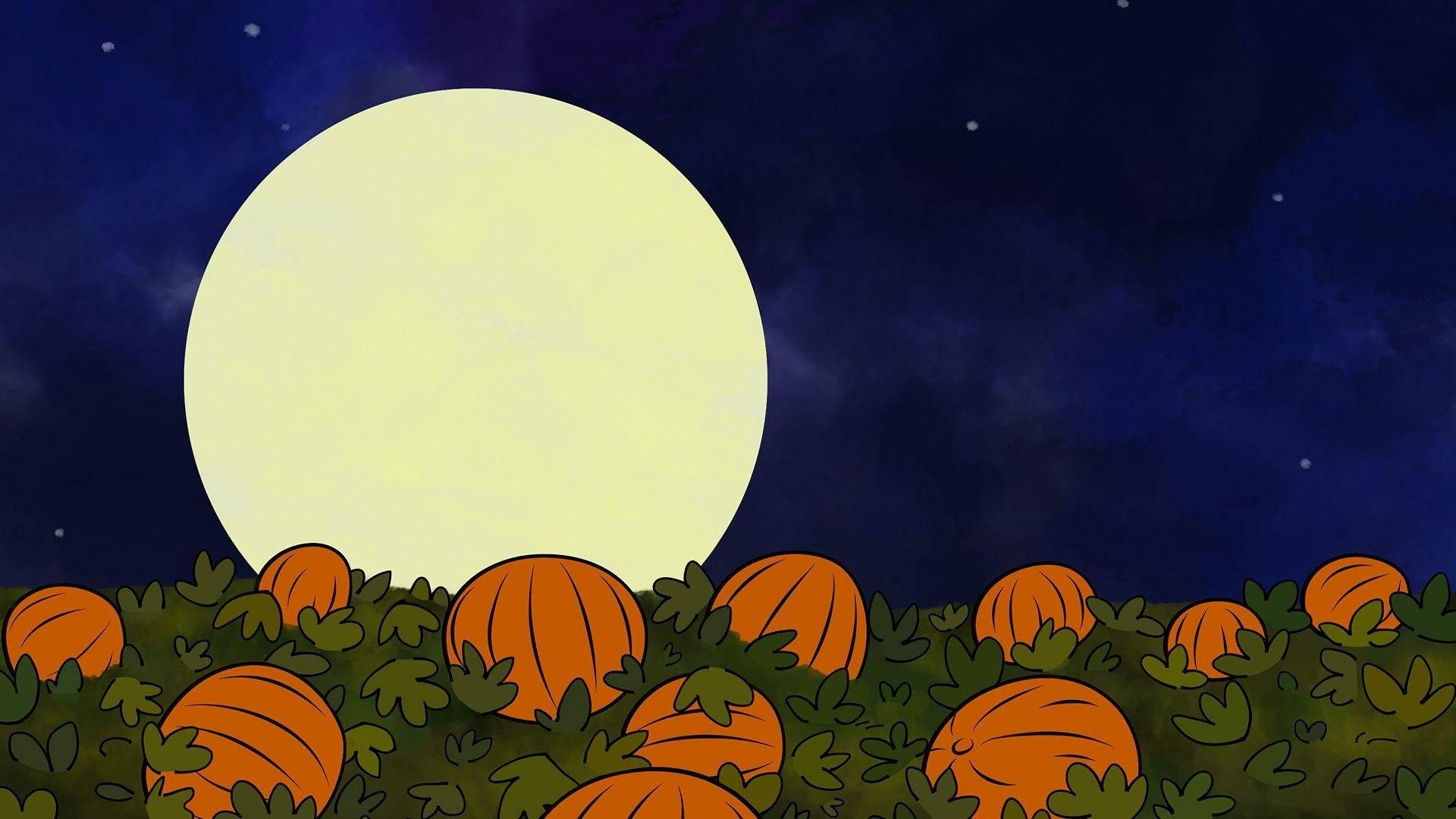Charlie Brown, pumpkin patch, giant glowing moon, Full HD Desktop Wallpaper