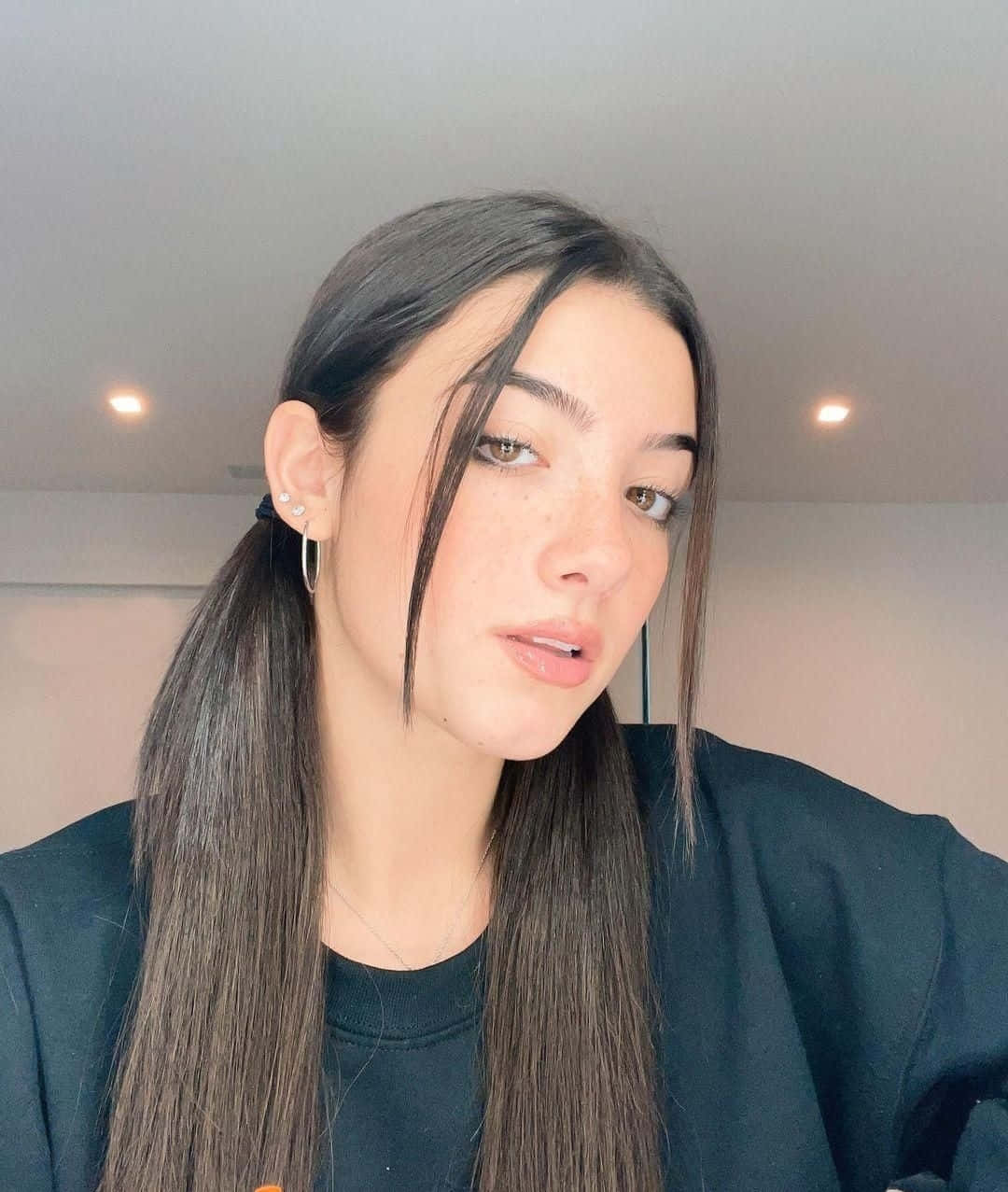 Charlie Damelio, pigtails, hoop earrings, SD Phone Wallpaper