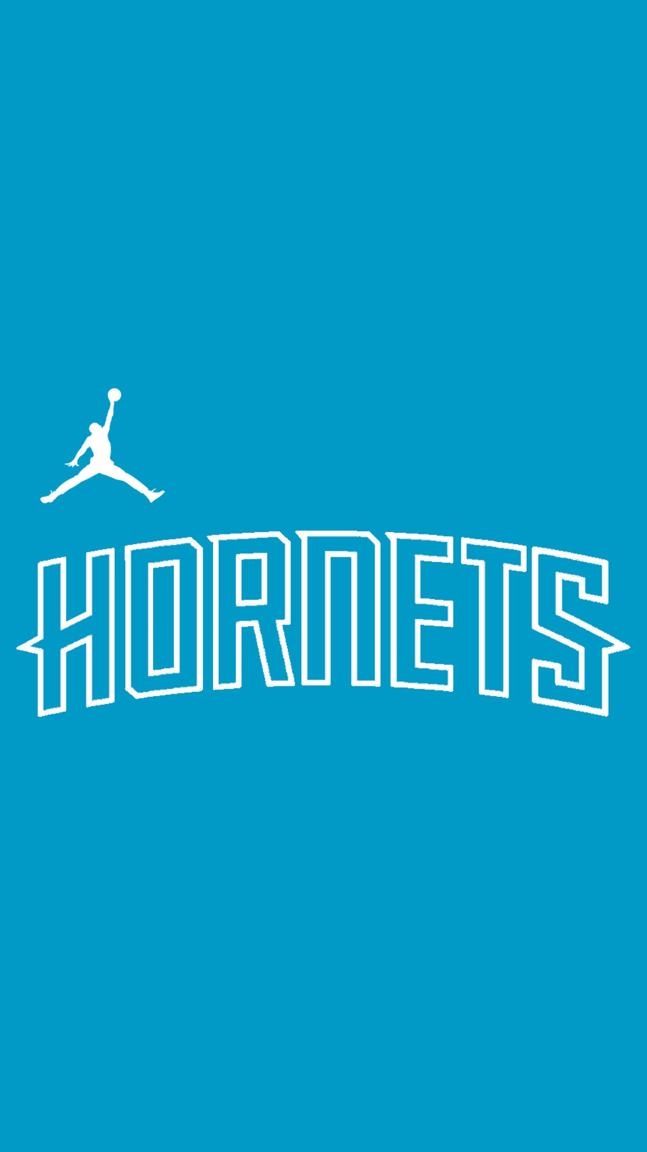 Charlotte Hornets, cerulean blue, white Jordan logo, Full HD Phone Wallpaper