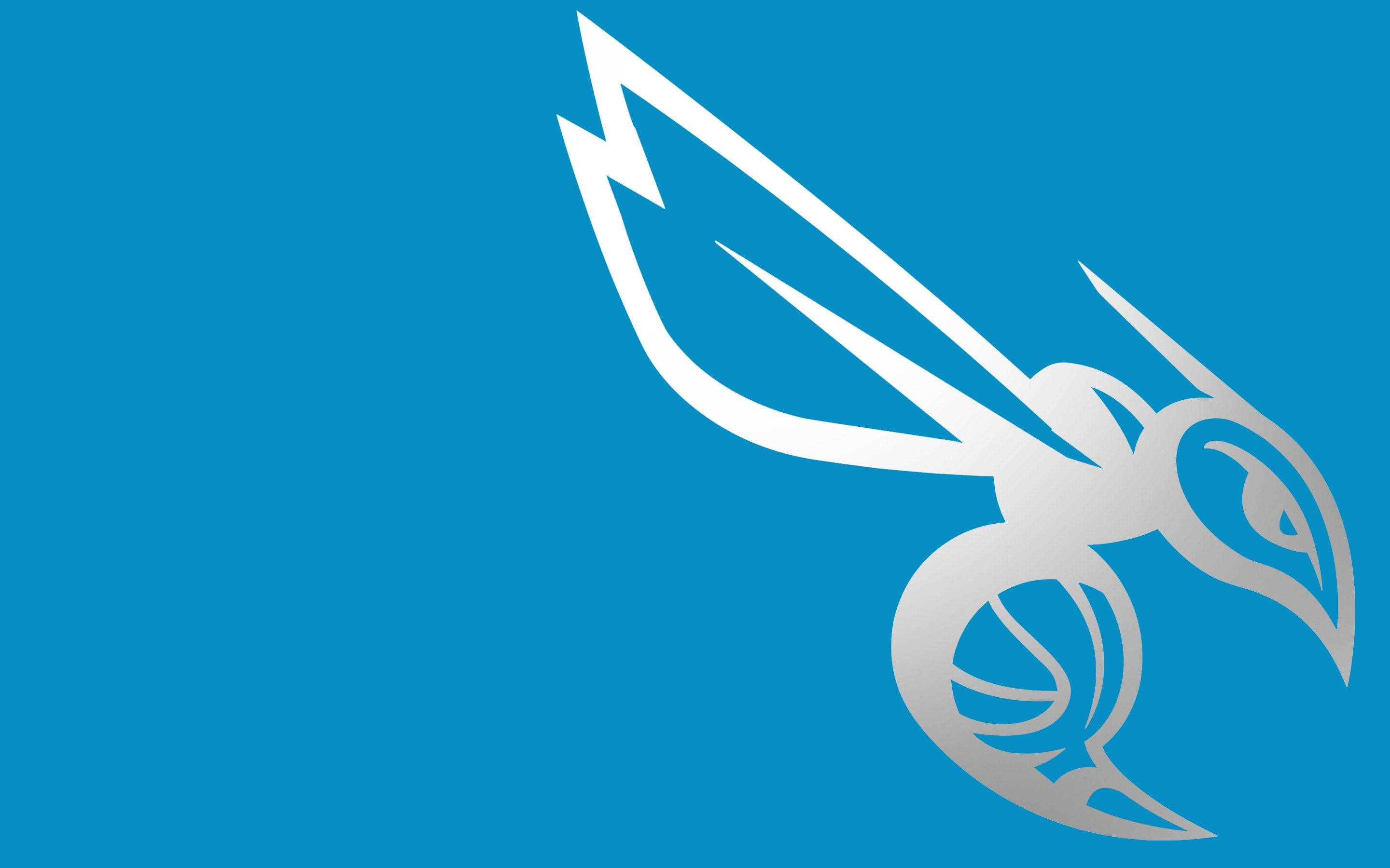 Charlotte Hornets, teal, bug, 2K Desktop Wallpaper