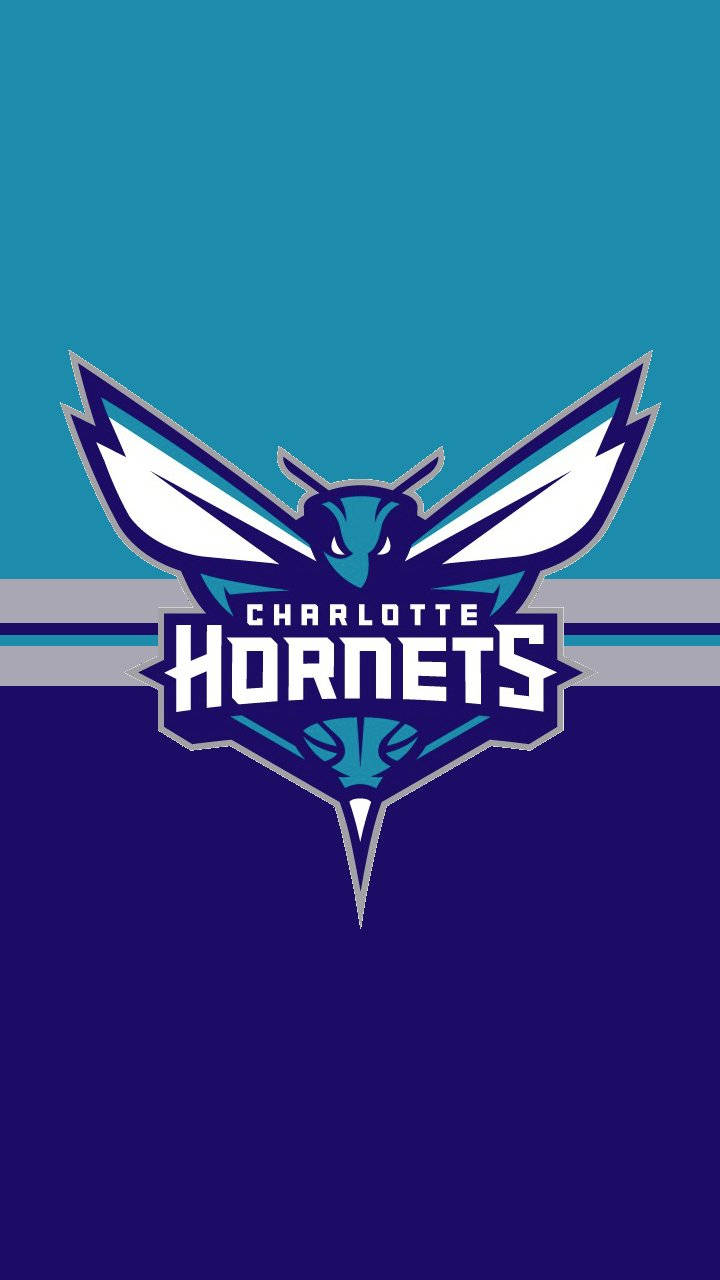 Charlotte Hornets, hornet mascot, teal and purple gradient background, HD Phone Wallpaper