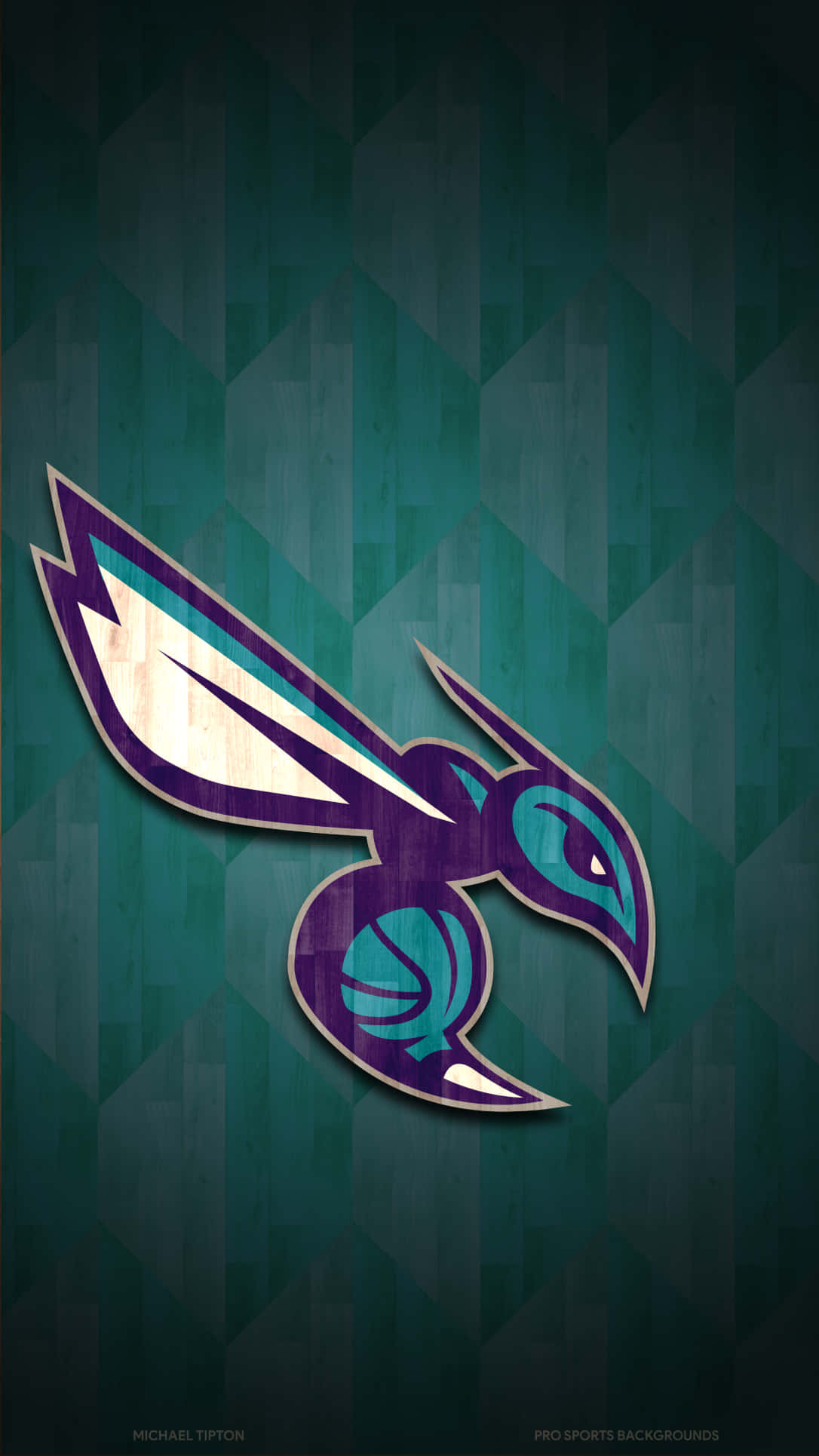 Charlotte Hornets, purple and teal hornet logo, basketball body, Full HD Phone Wallpaper