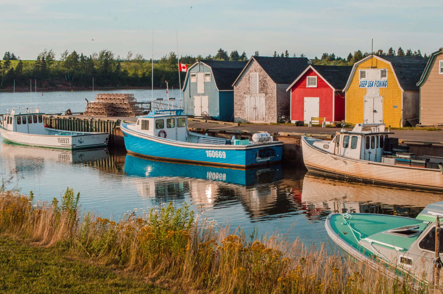 Charlottetown, colorful fishing boats, calm water, HD Desktop Wallpaper