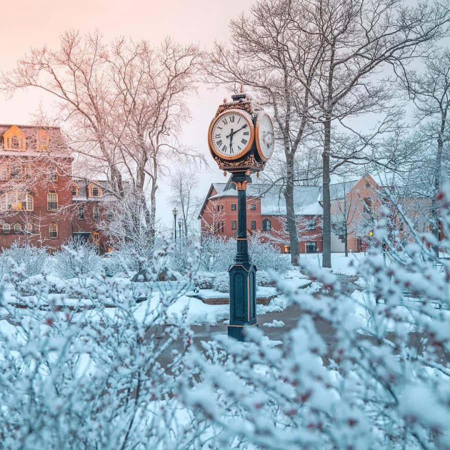 Charlottetown, winter clock, snow-covered park, SD Desktop Wallpaper