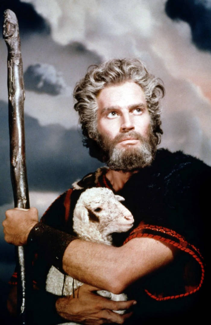 Charlton Heston, sheep, bearded shepherd, SD Phone Wallpaper