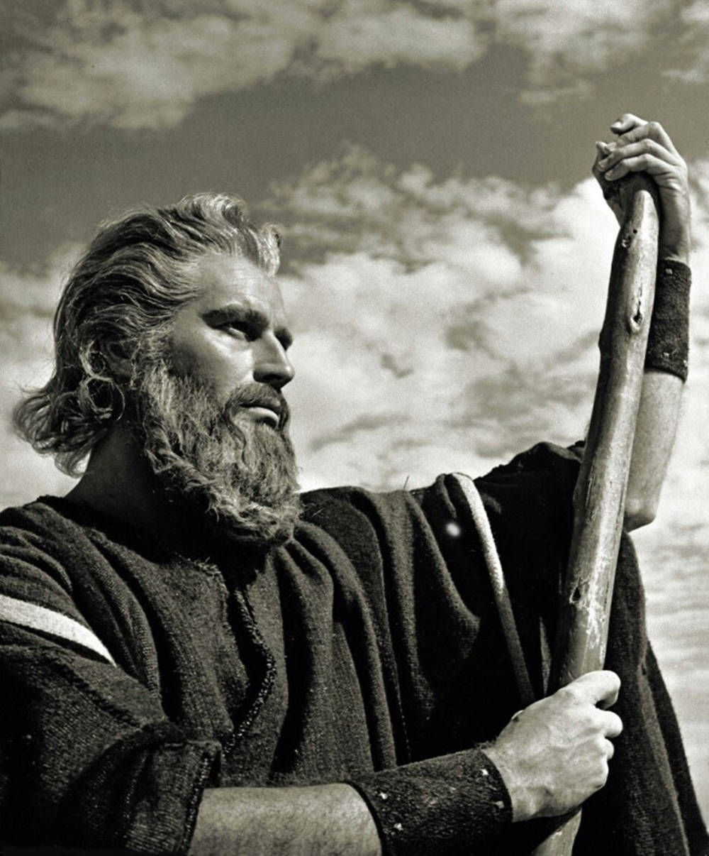 Charlton Heston, wood, bearded man, SD Phone Wallpaper