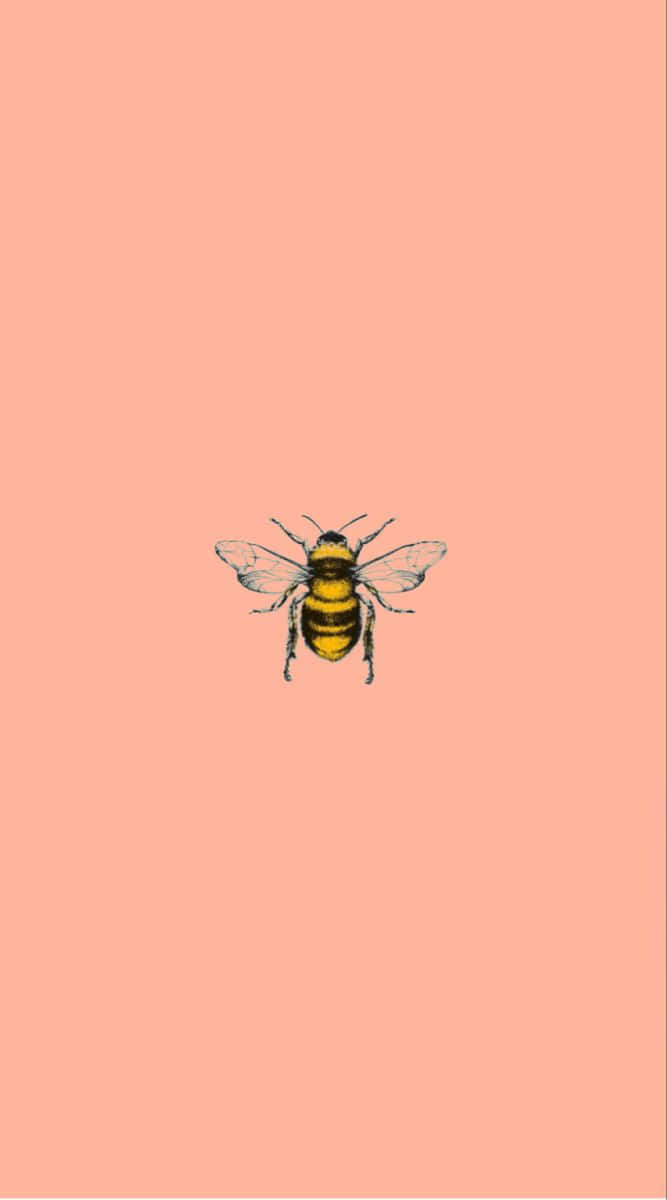 vintage bee, yellow and black bee, peach background, SD Phone Wallpaper