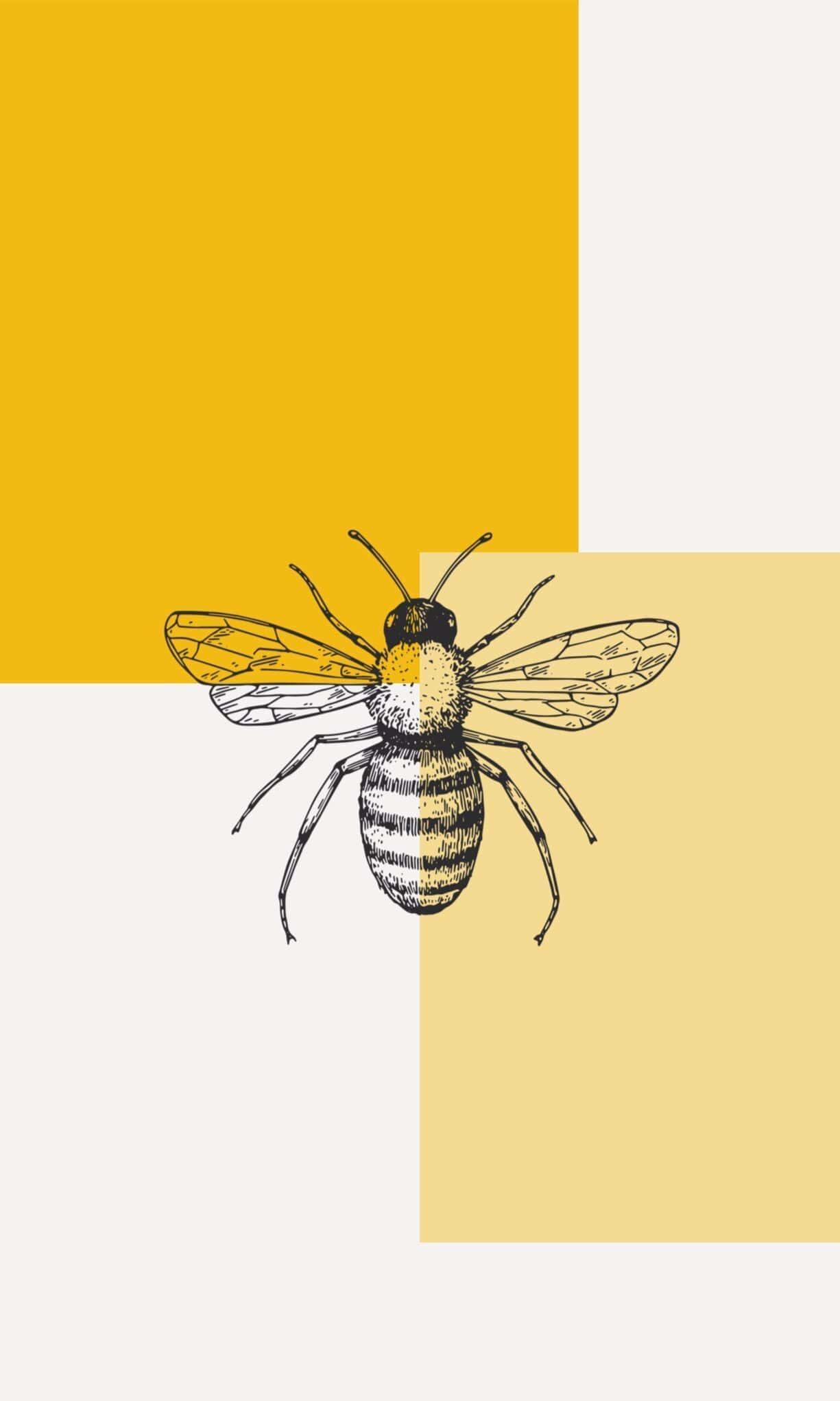 Aesthetic Bee, yellow accents, mustard yellow cream, Full HD Phone Wallpaper