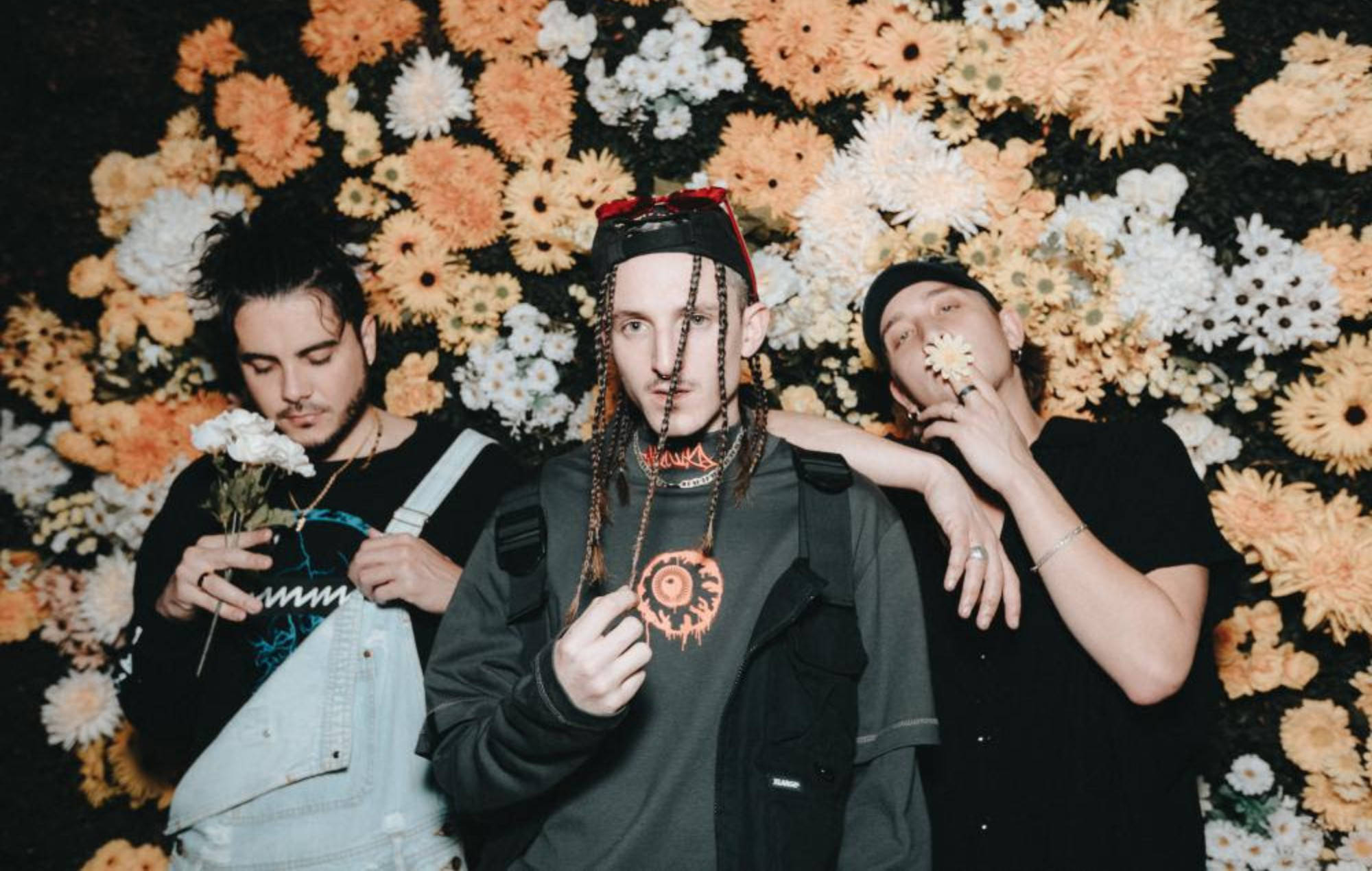 Chase Atlantic, orange and white flowers, vibrant wall, Full HD Desktop Wallpaper