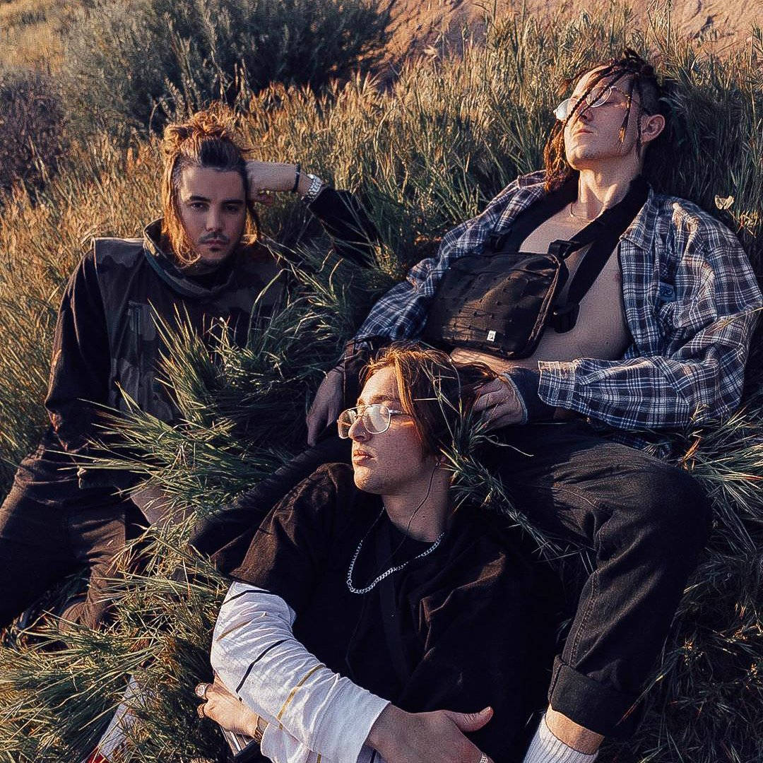 Chase Atlantic, golden sunset, tall grass, SD Desktop Wallpaper