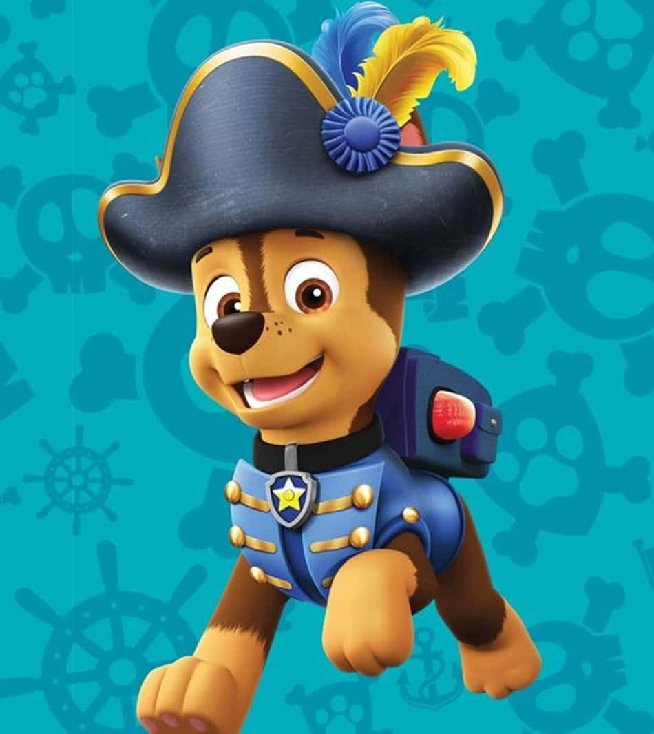 Chase, Paw Patrol, pirate hat, SD Phone Wallpaper