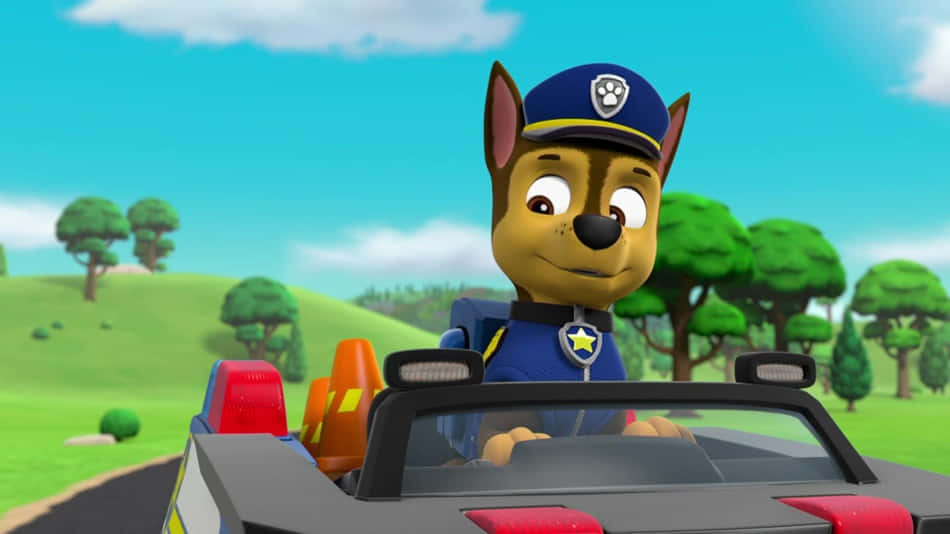Chase, PAW Patrol, patrol car, SD Desktop Wallpaper