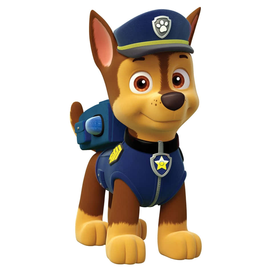 Chase, Paw Patrol, blue uniform, SD Desktop Wallpaper