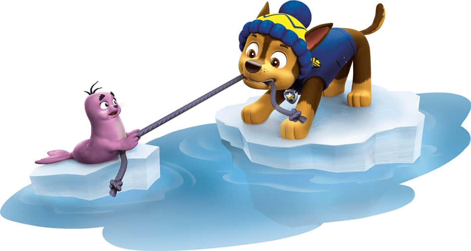 Chase Paw Patrol, blue winter hat, purple seal, SD Desktop Wallpaper
