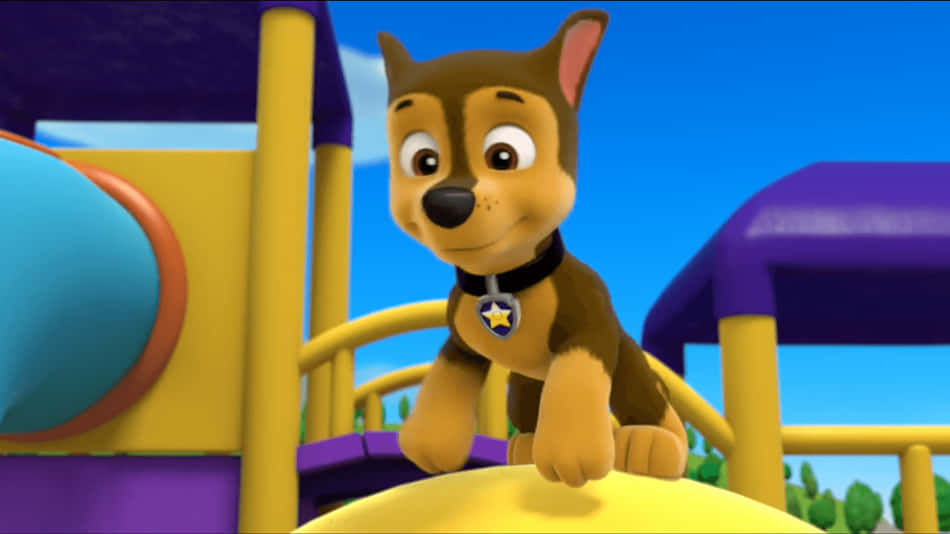 Chase, Paw Patrol, star badge, SD Desktop Wallpaper