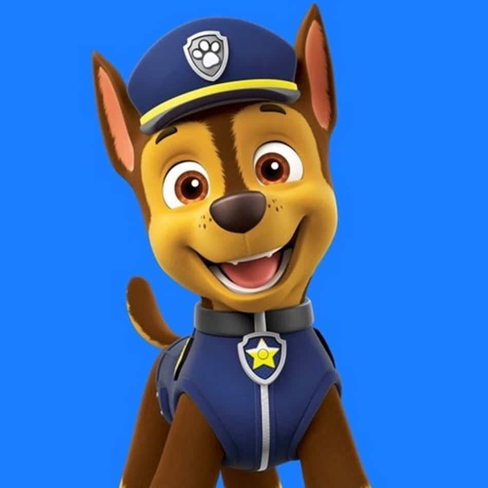 Chase, Paw Patrol, blue uniform, SD Desktop Wallpaper